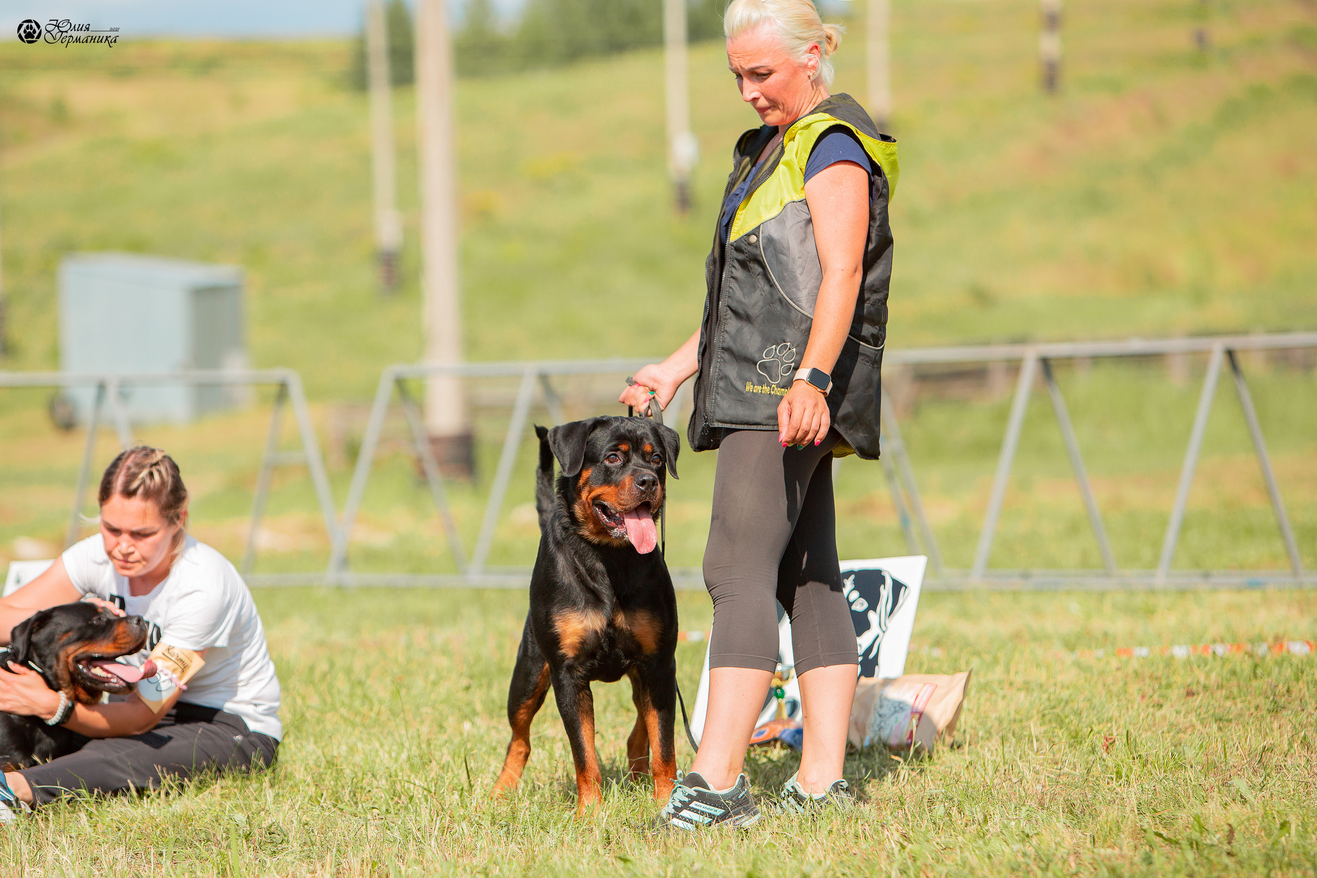 Рязань,Ховрино 14-15 августа 2021 моно ротвейлеров. Фотограф-анималист Юлия Германика