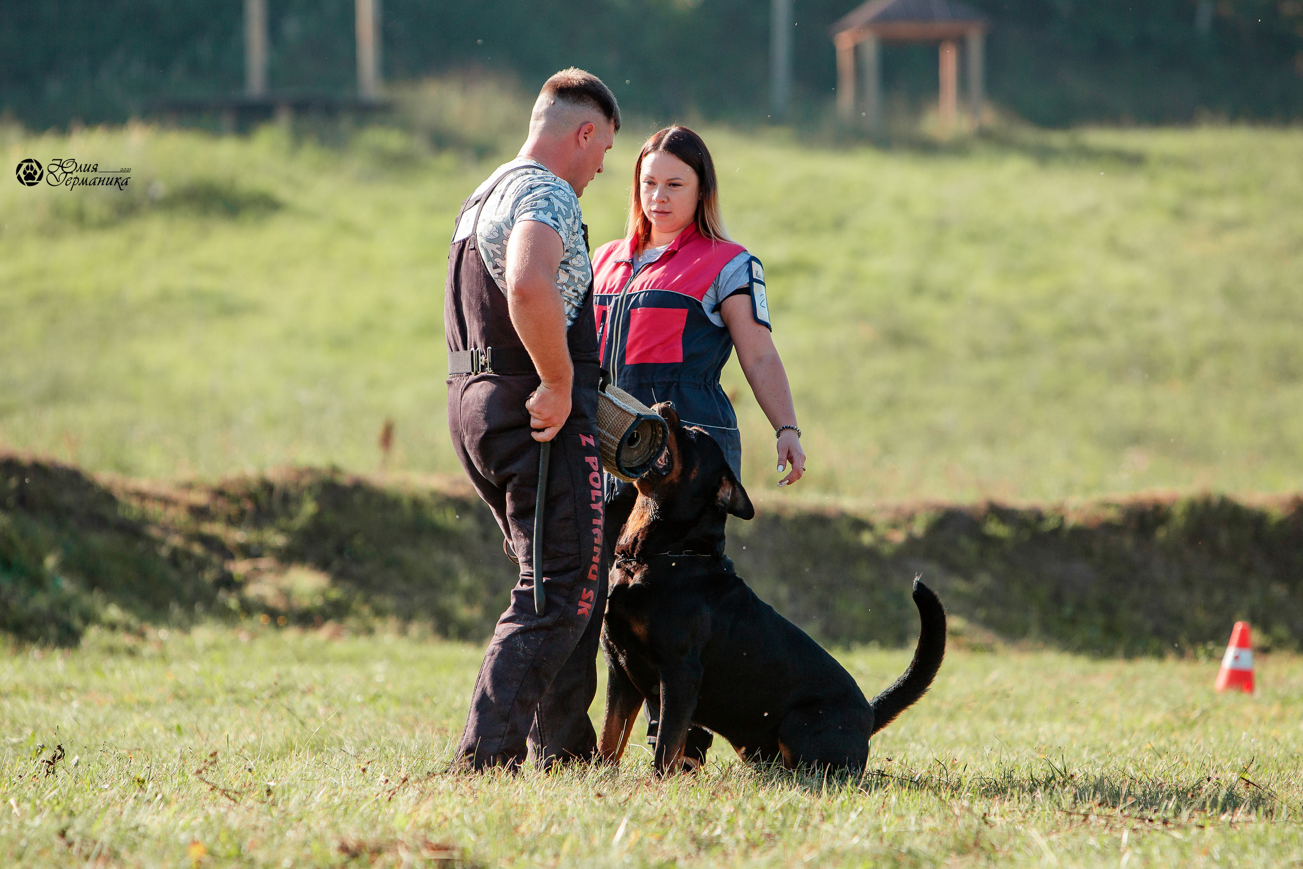 Рязань,Ховрино 14-15 августа 2021 моно ротвейлеров. Фотограф-анималист Юлия Германика