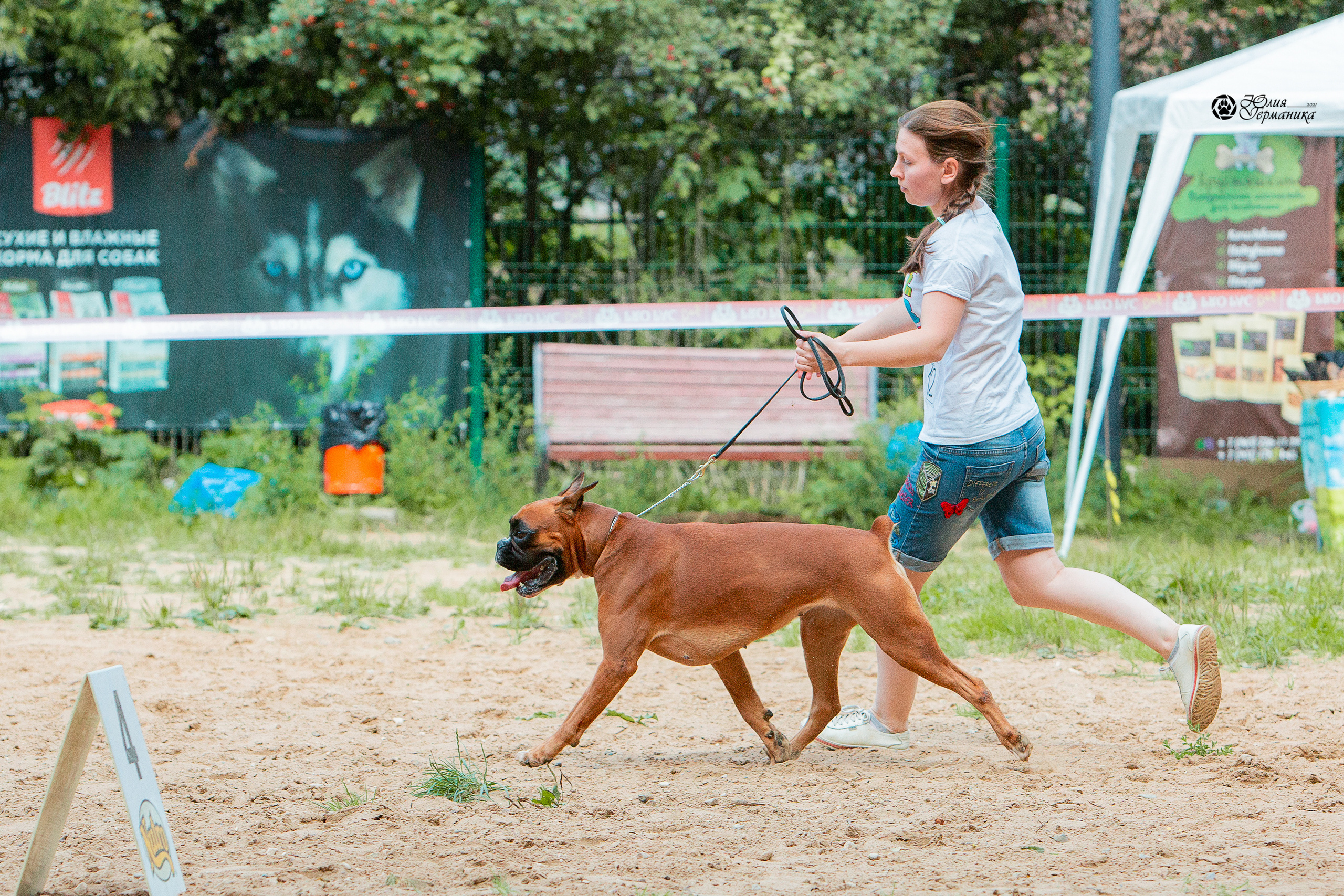 Ховрино фестиваль монопородок 15 августа 2021. Фотограф-анималист Юлия Германика