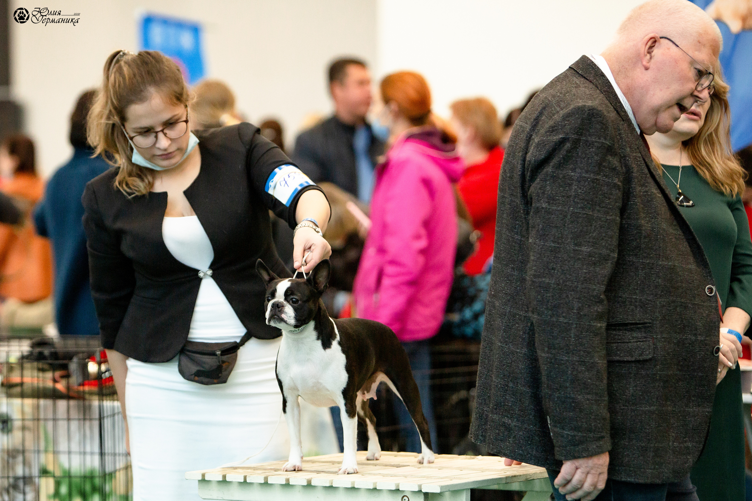 Нижний Новгород 3хCACIB 15-17 октября 2021. Фотограф-анималист Юлия Германика