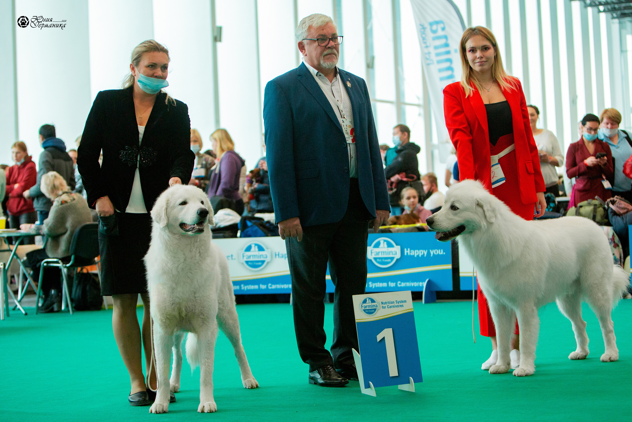 Нижний Новгород 3хCACIB 15-17 октября 2021. Фотограф-анималист Юлия Германика