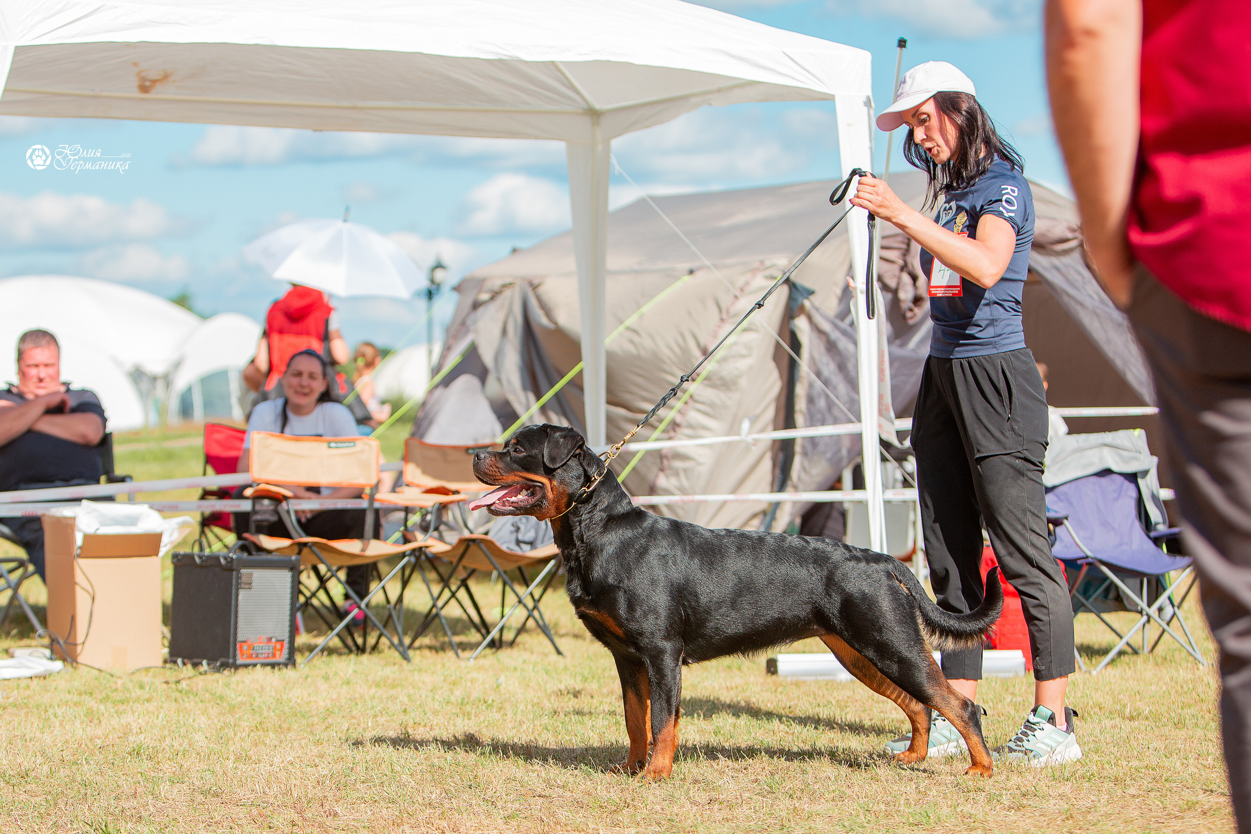 Тверь моно ротвейлеров 3-4 июля 2021. Фотограф-анималист Юлия Германика