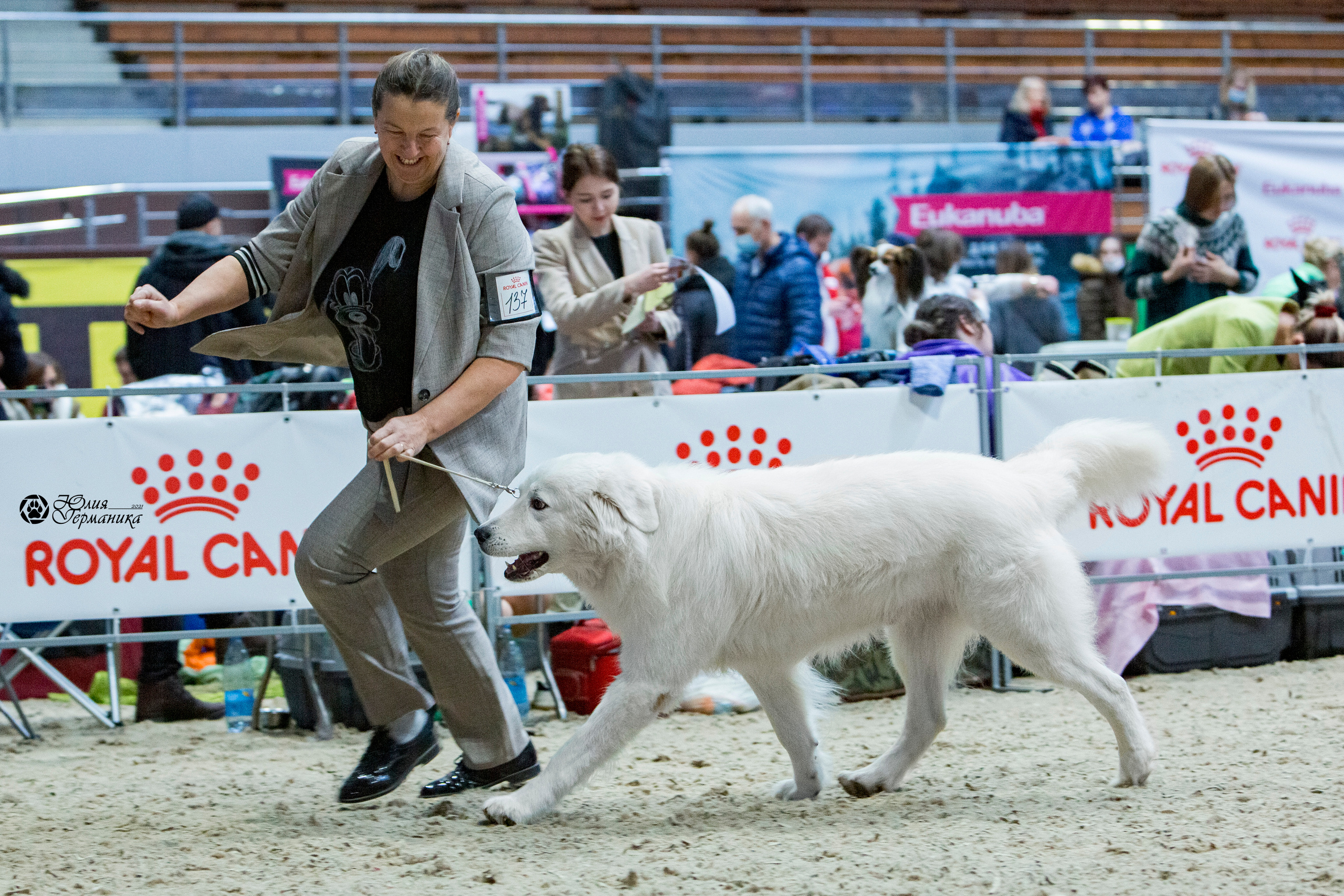 Минск 2хCACIB 27-28 ноября 2021. Фотограф-анималист Юлия Германика