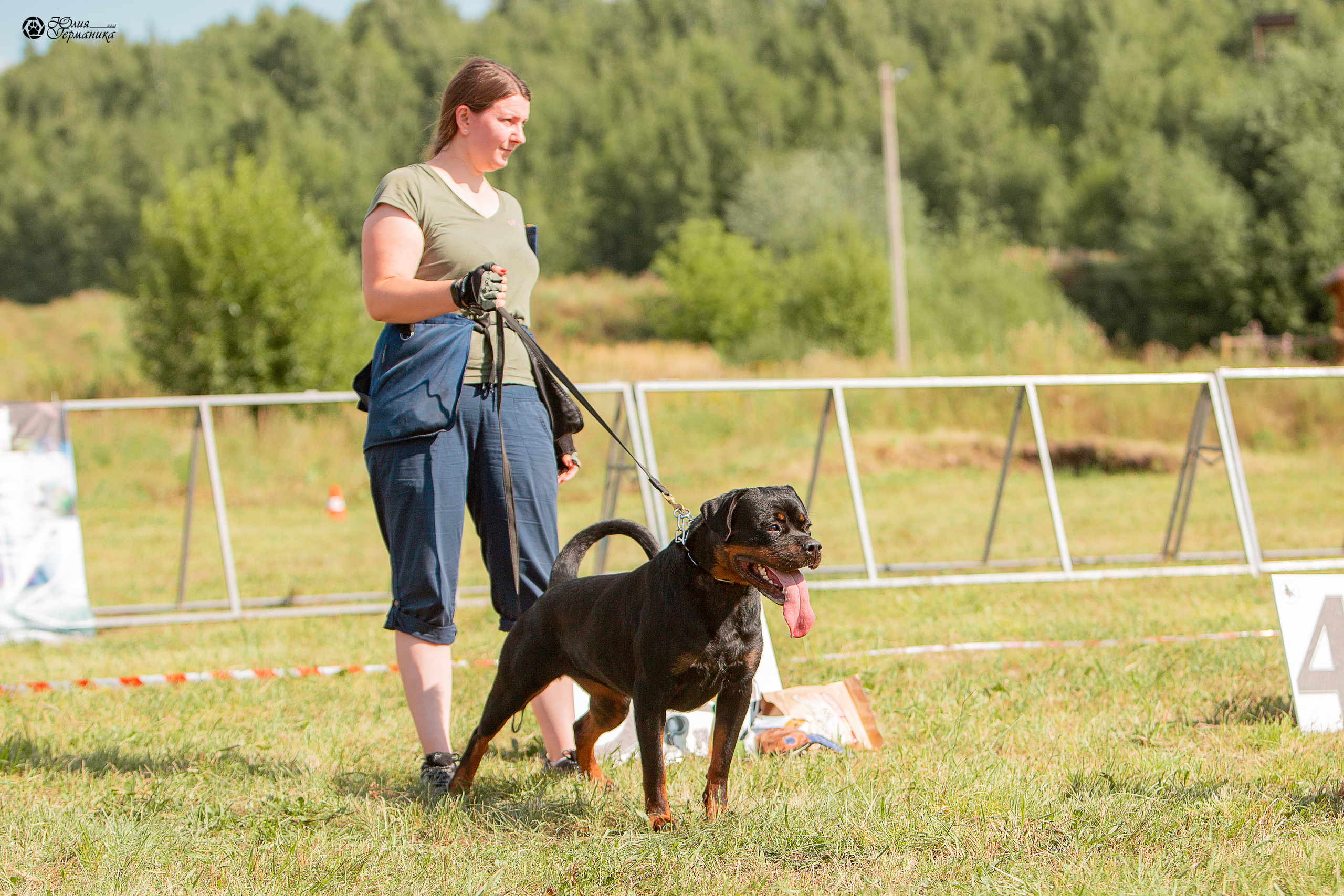 Рязань,Ховрино 14-15 августа 2021 моно ротвейлеров. Фотограф-анималист Юлия Германика