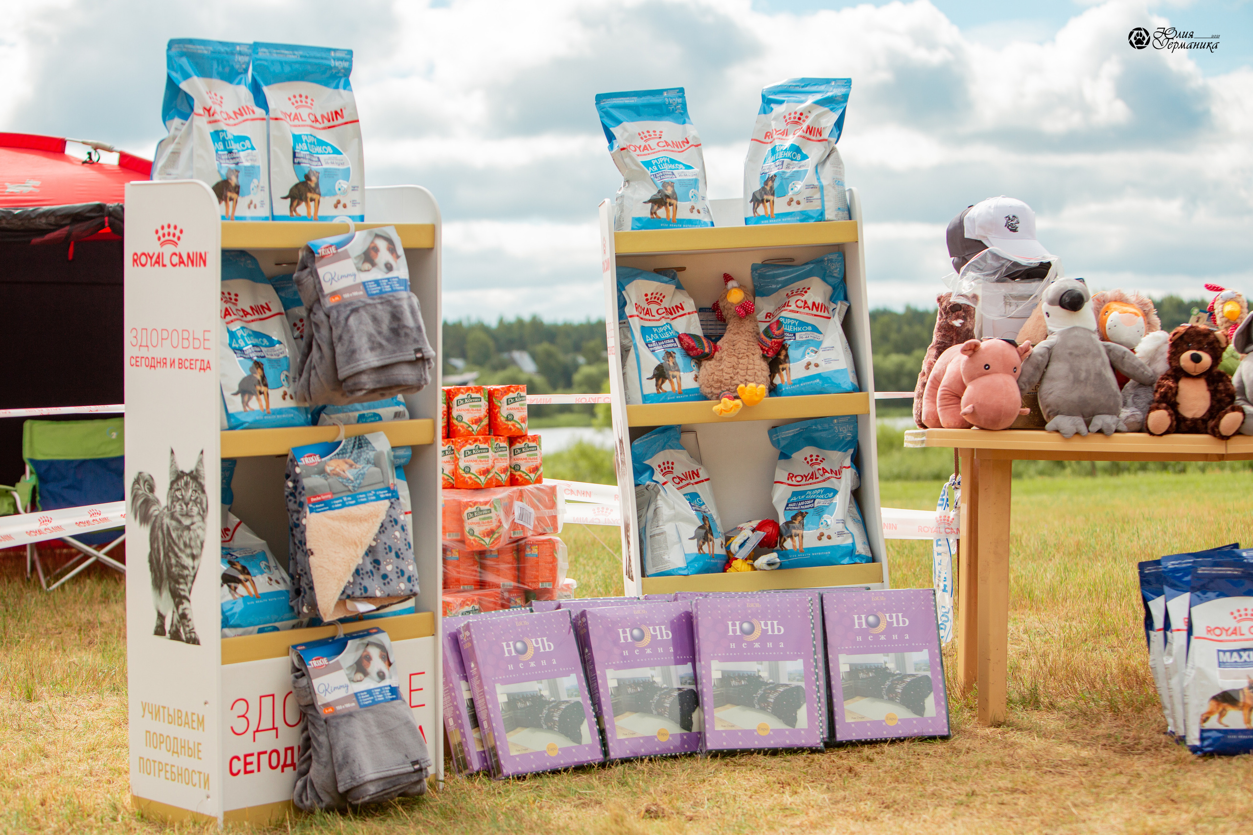 Тверь моно ротвейлеров 3-4 июля 2021. Фотограф-анималист Юлия Германика