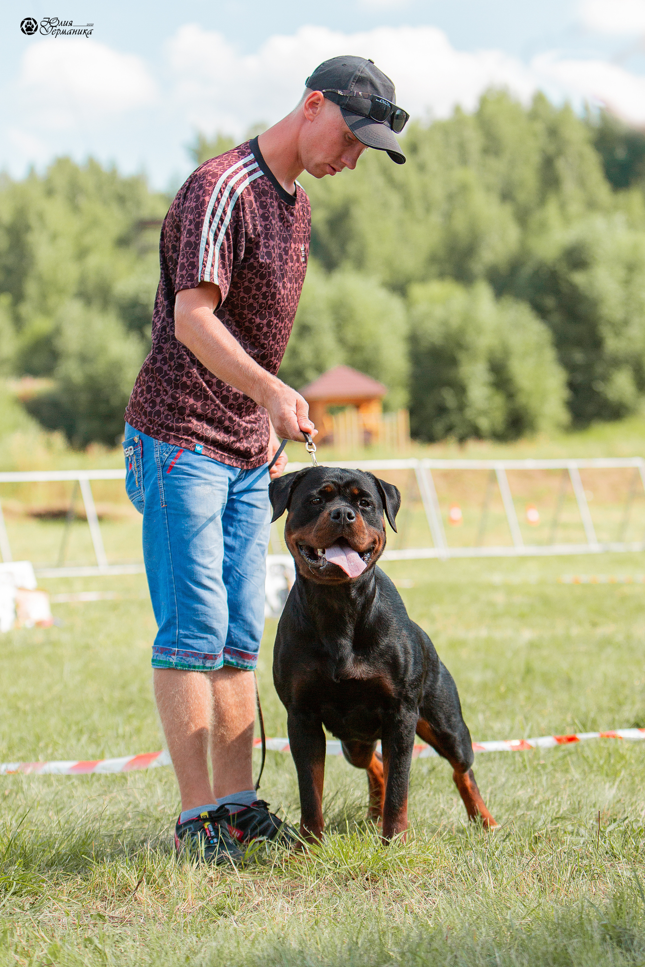 Рязань,Ховрино 14-15 августа 2021 моно ротвейлеров. Фотограф-анималист Юлия Германика