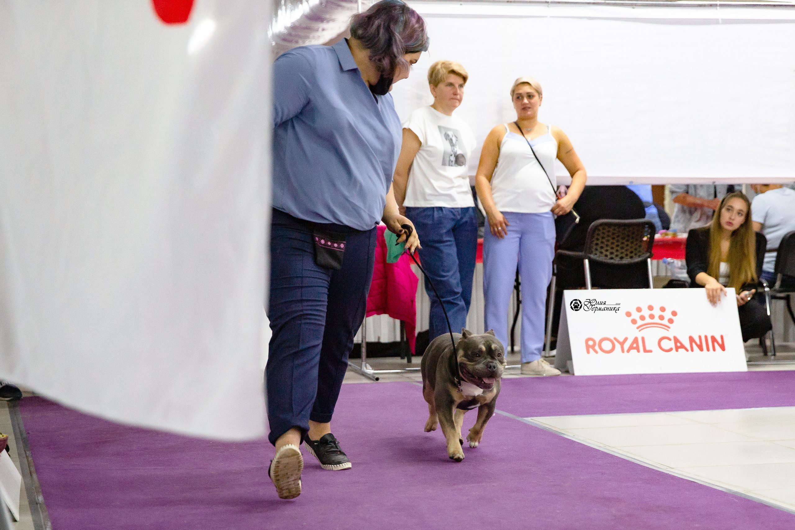 Чайна-Таун 2021. Фотограф-анималист Юлия Германика