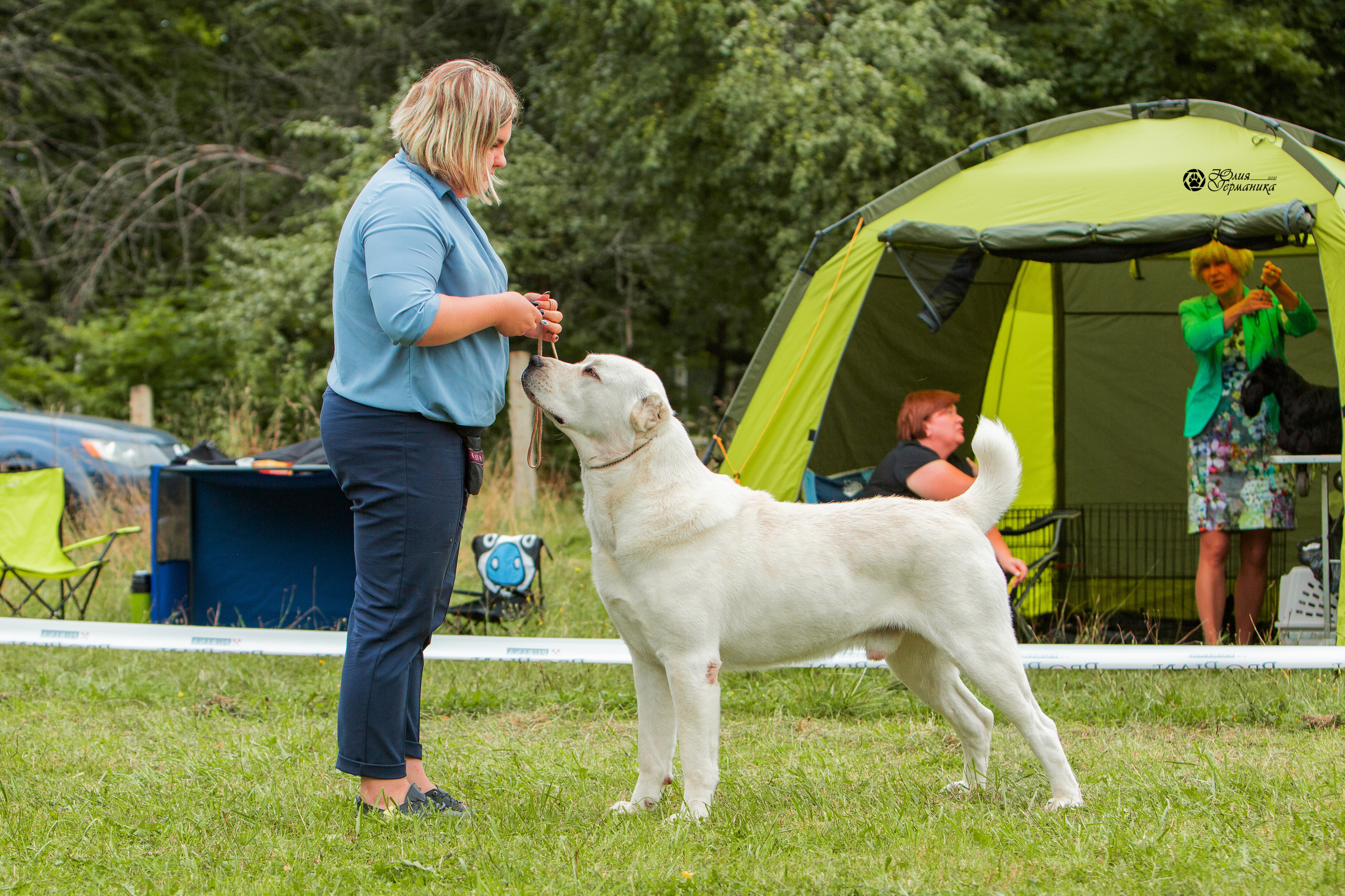 Пушкино 3хCAC 21 августа 2021. Фотограф-анималист Юлия Германика