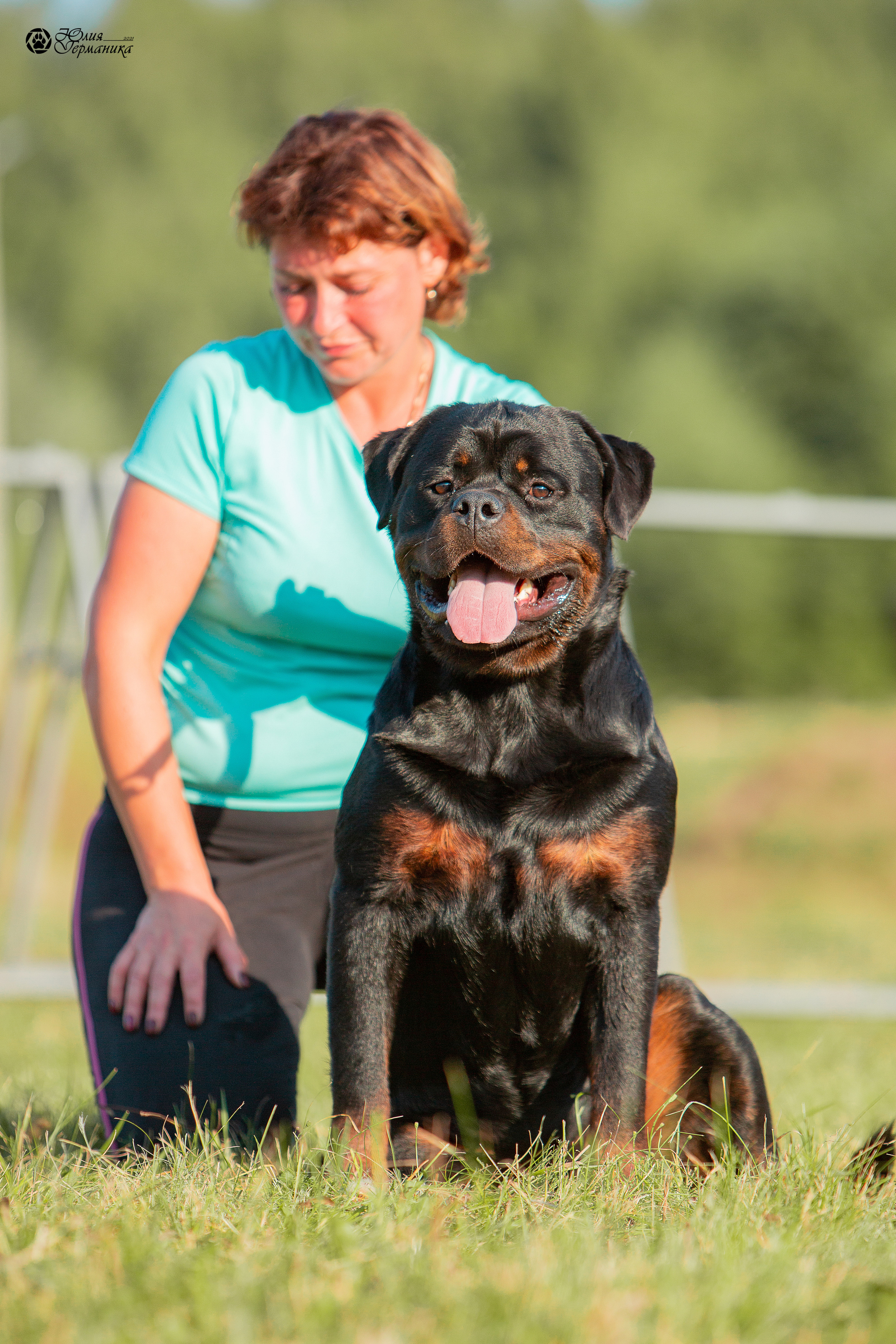 Рязань,Ховрино 14-15 августа 2021 моно ротвейлеров. Фотограф-анималист Юлия Германика
