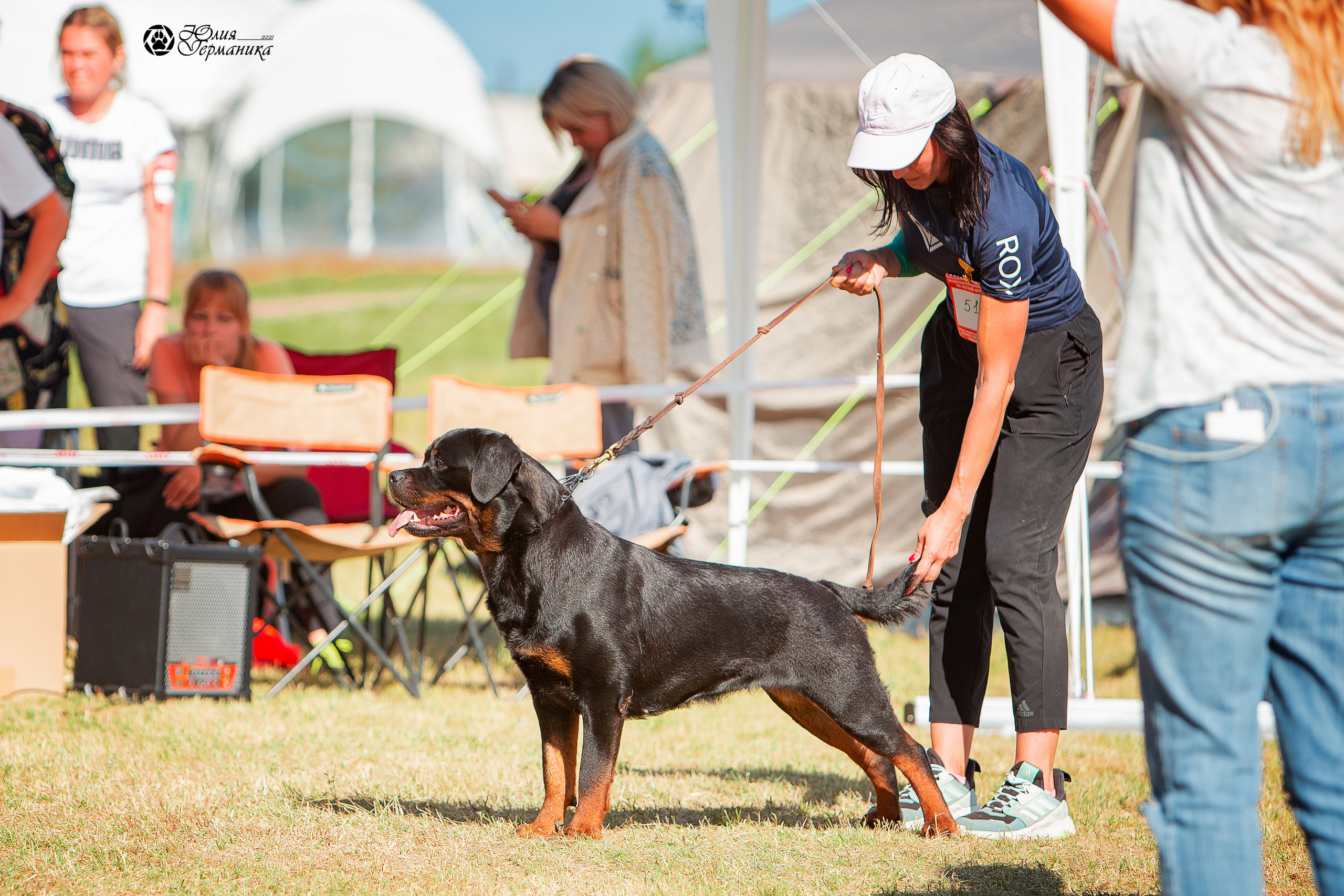 Тверь моно ротвейлеров 3-4 июля 2021. Фотограф-анималист Юлия Германика
