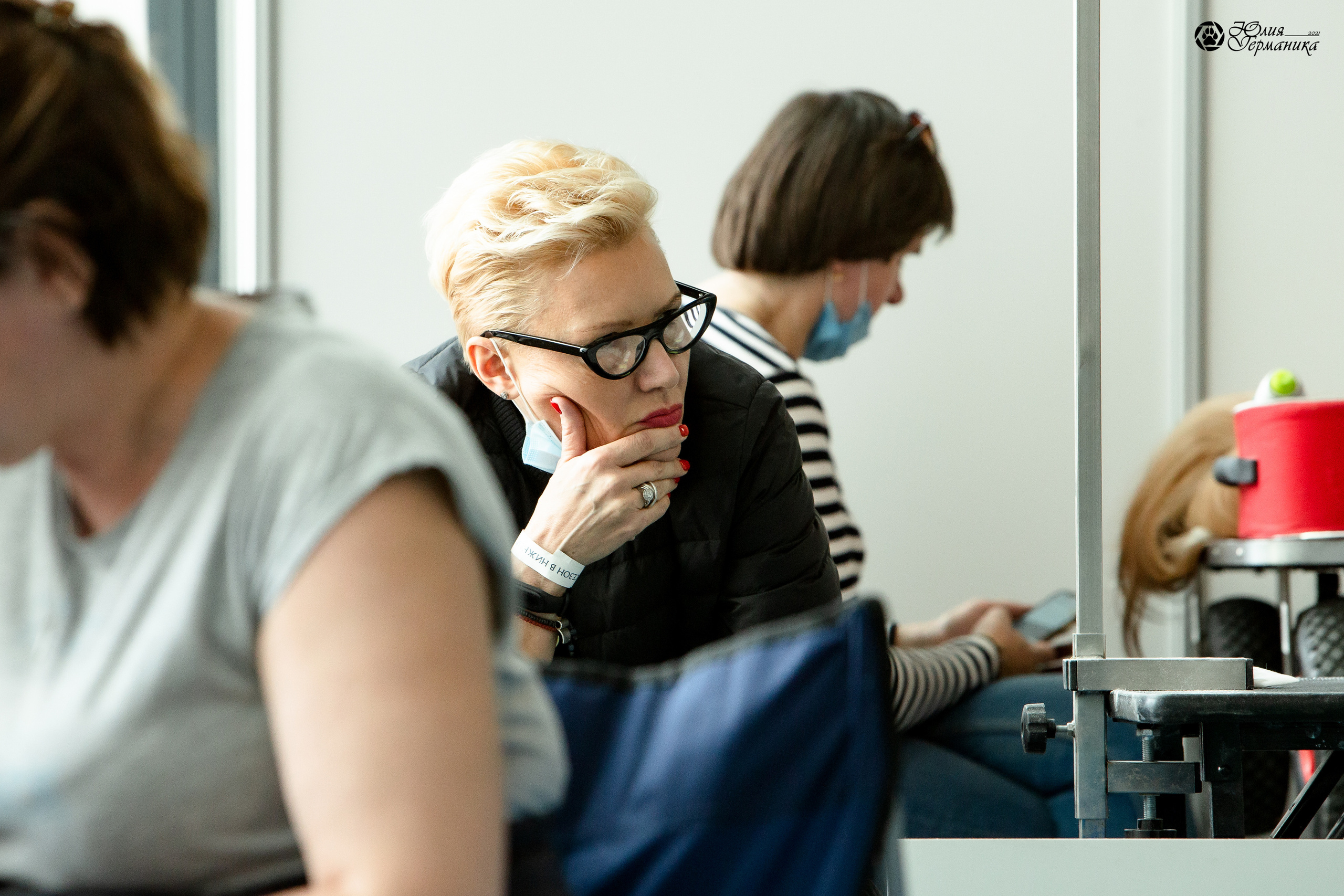 Нижний Новгород 3хCACIB 15-17 октября 2021. Фотограф-анималист Юлия Германика