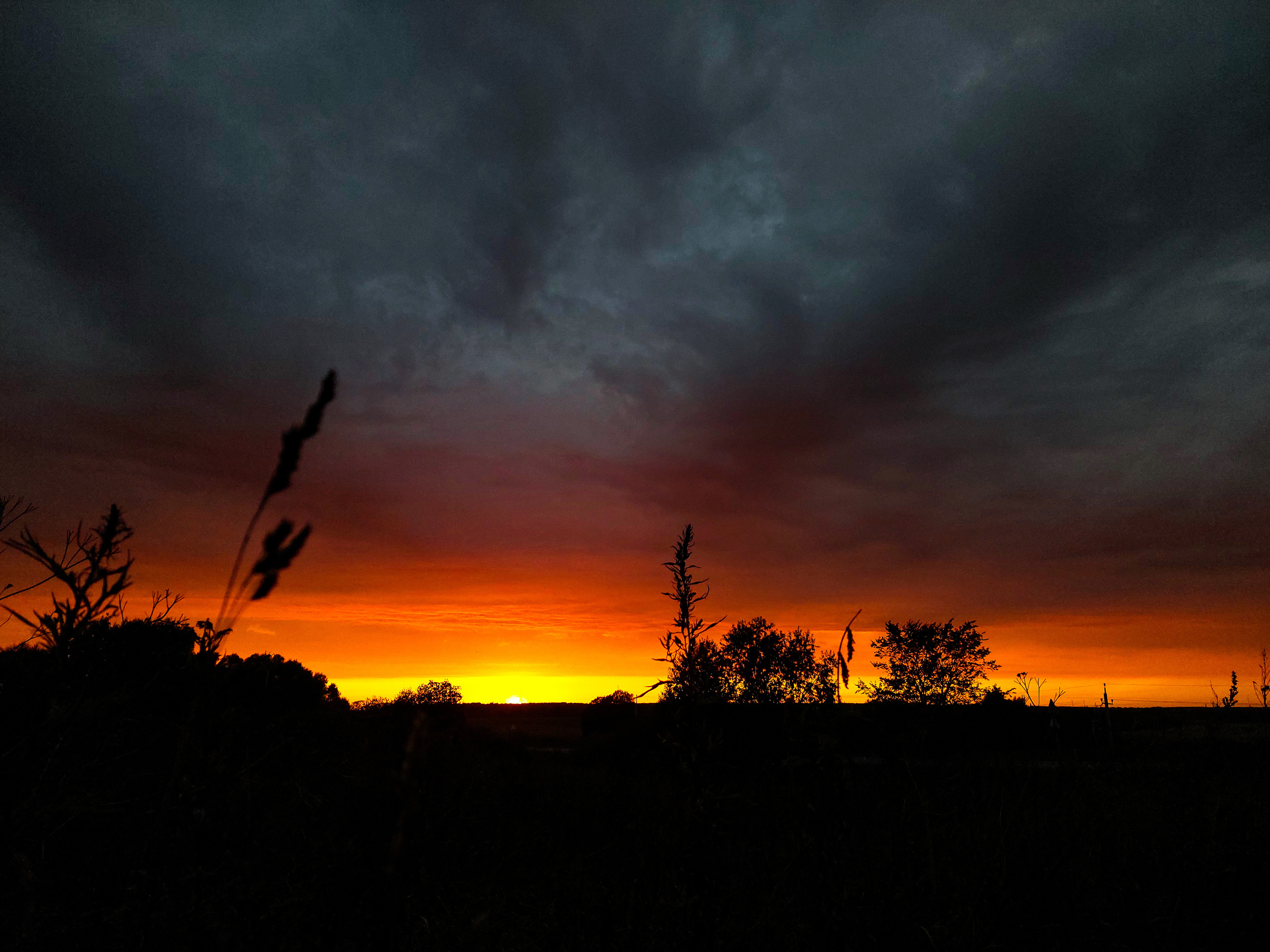 Разные фото на телефон.Города,природа. Фотограф-анималист Юлия Германика