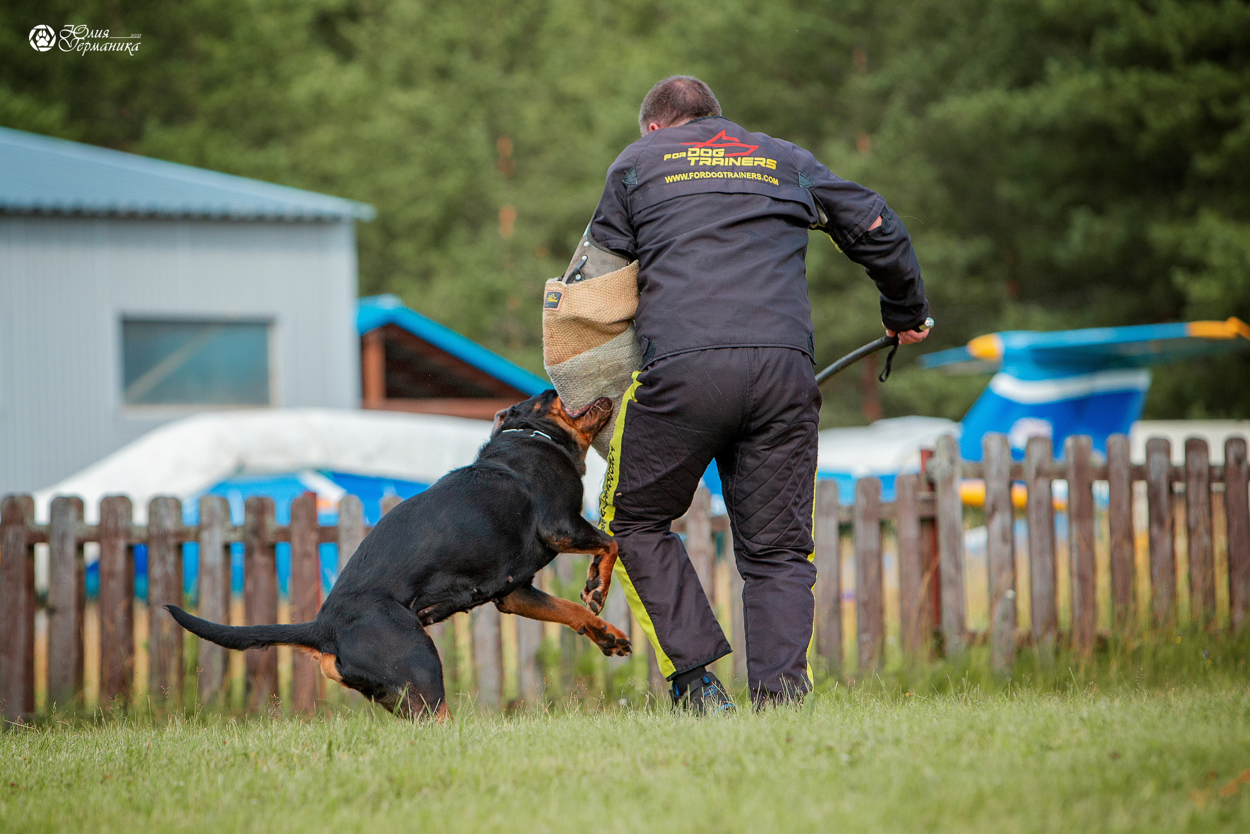 Тверь моно ротвейлеров 3-4 июля 2021. Фотограф-анималист Юлия Германика
