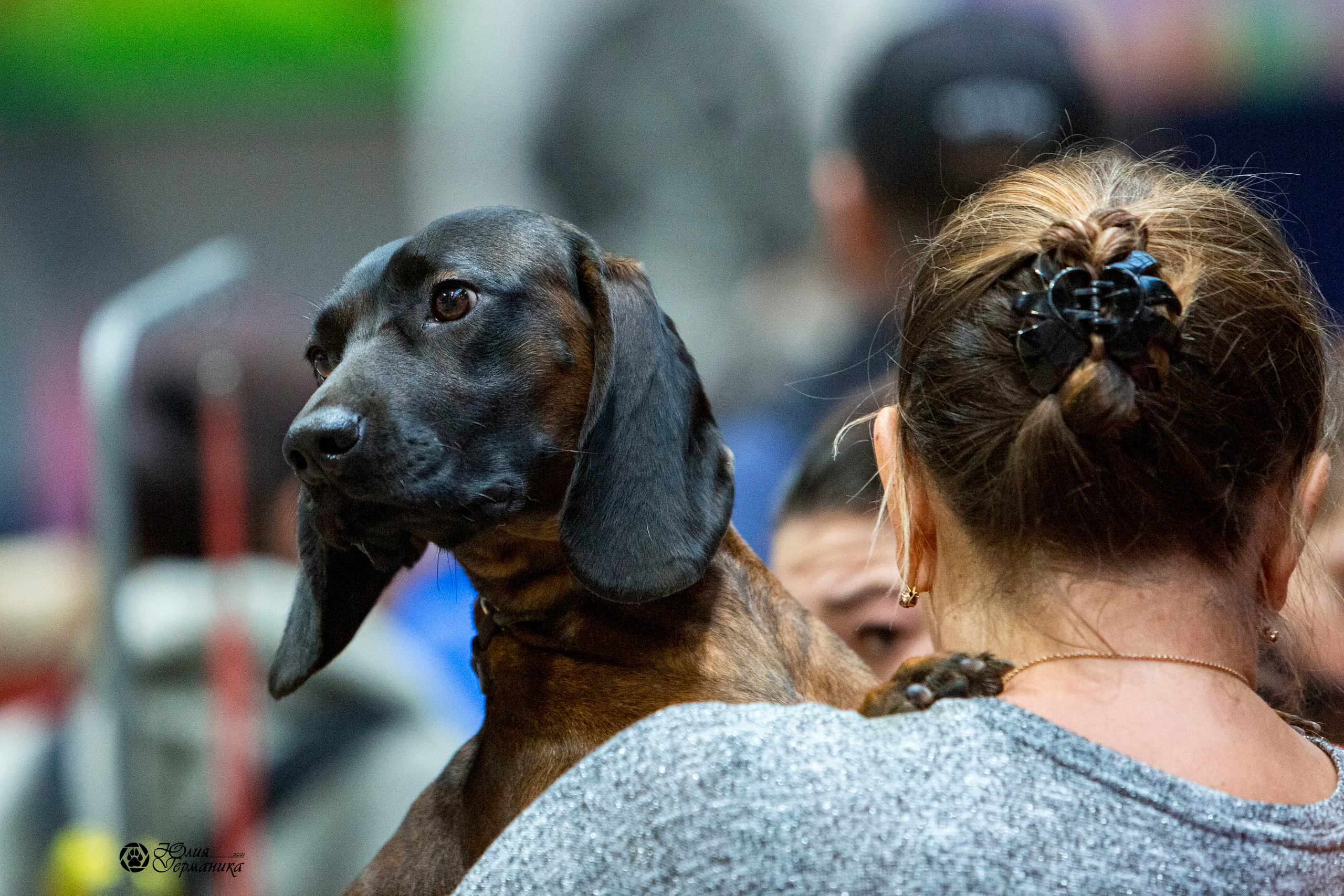 Минск 2хCACIB 27-28 ноября 2021. Фотограф-анималист Юлия Германика