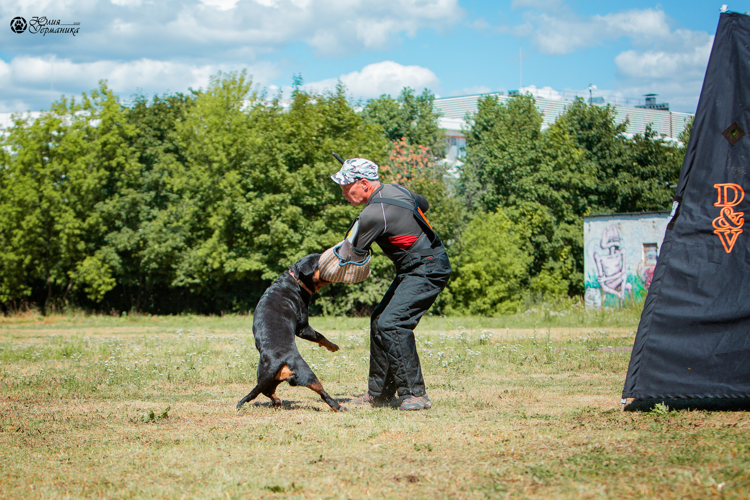 Монопородная выставка ротвейлеров Питер. Фотограф-анималист Юлия Германика