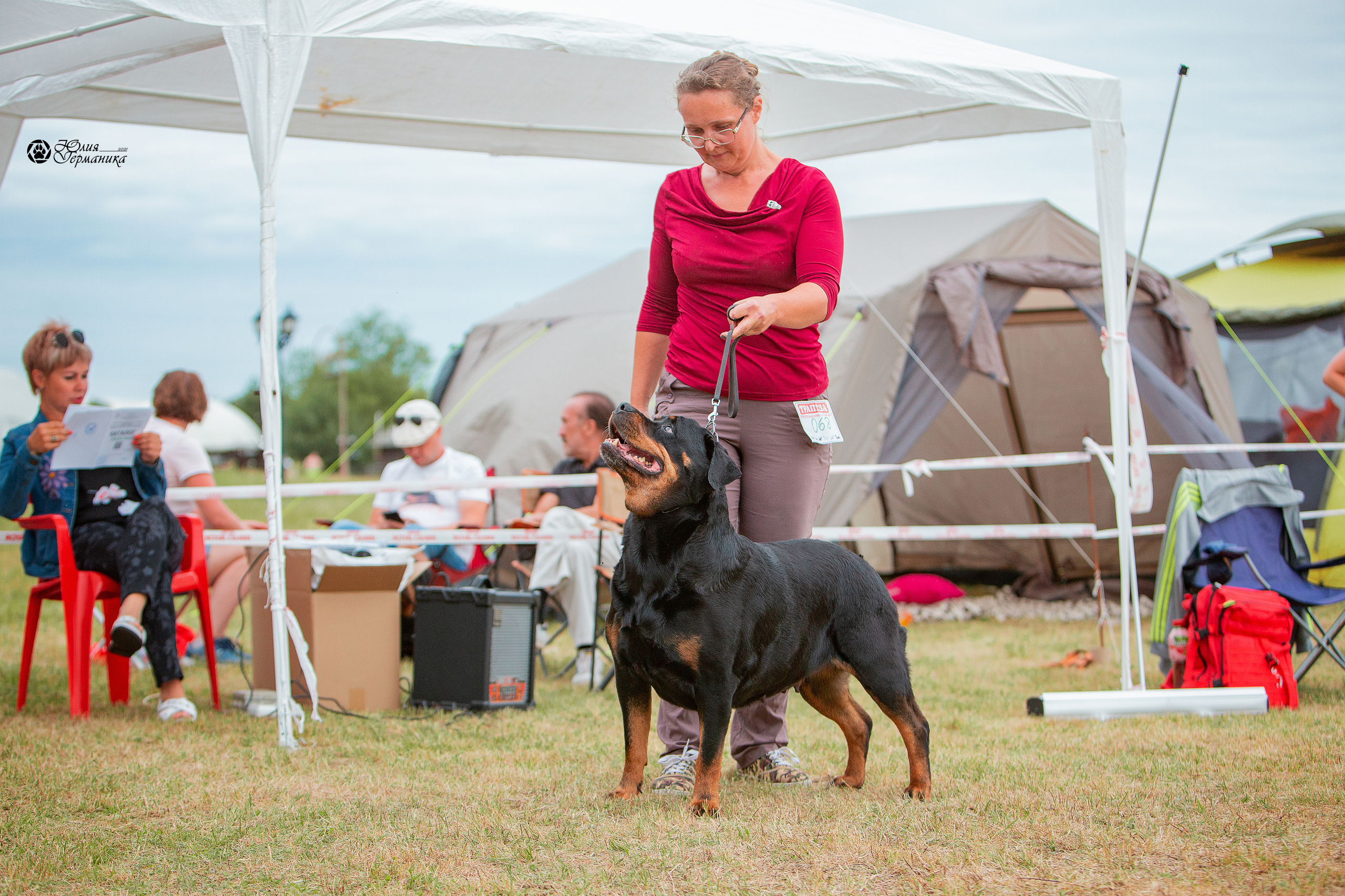 Тверь моно ротвейлеров 3-4 июля 2021. Фотограф-анималист Юлия Германика