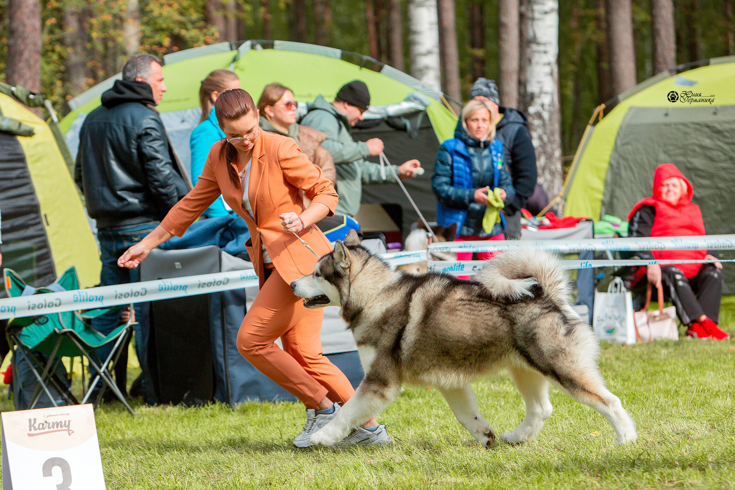 Псков 2xСАСIB 18-19 сентября 2021. Фотограф-анималист Юлия Германика