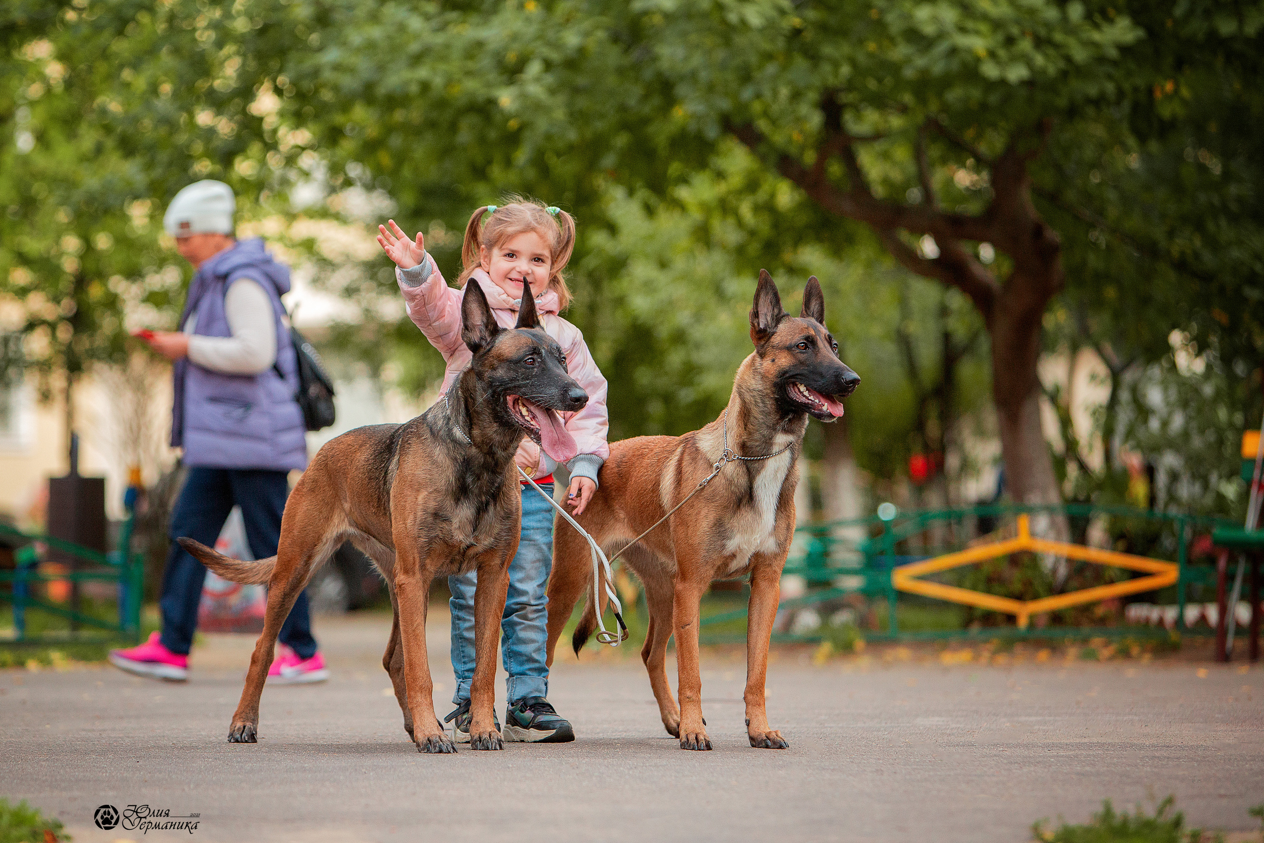 Свободная съемка. Фотограф-анималист Юлия Германика