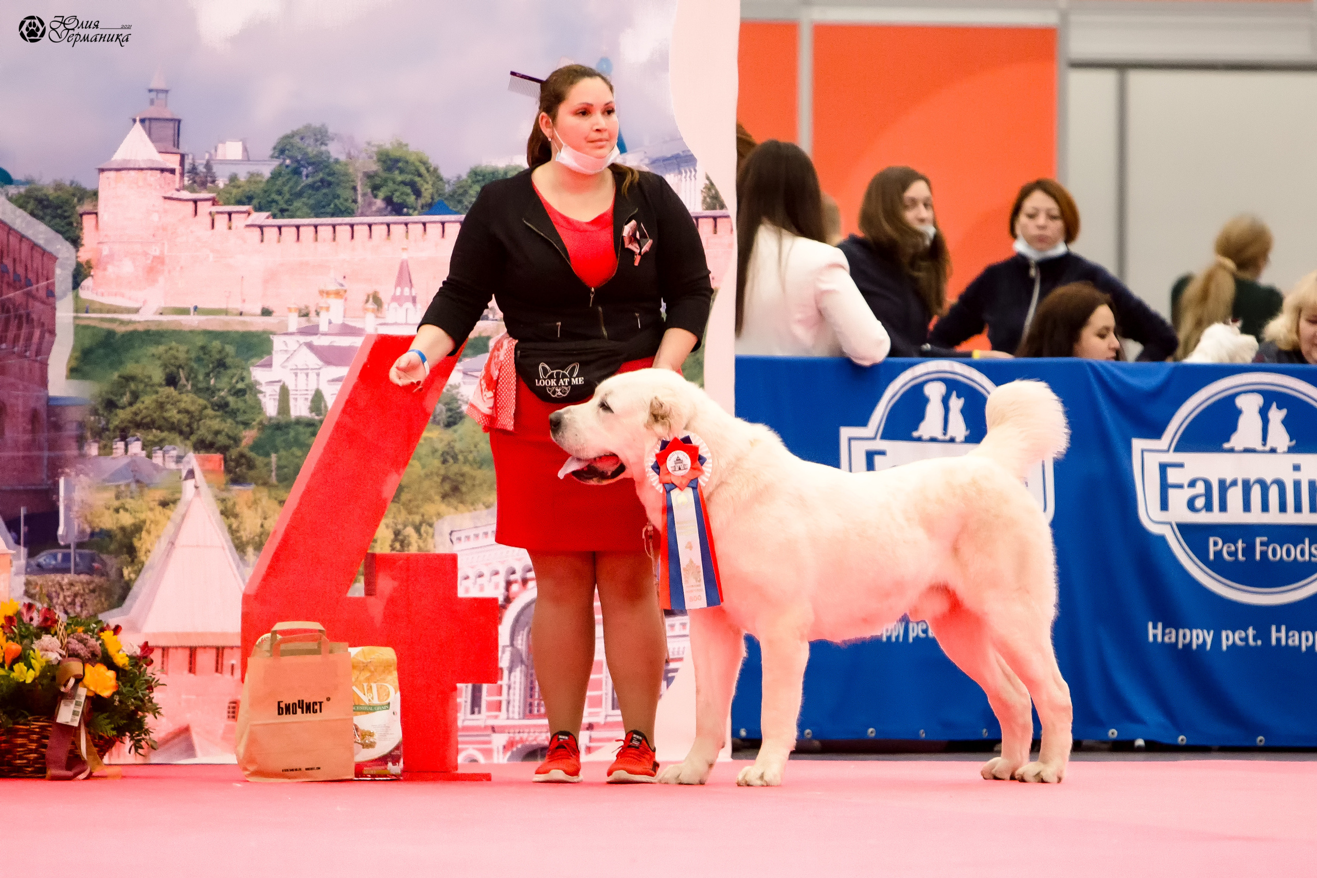 Нижний Новгород 3хCACIB 15-17 октября 2021. Фотограф-анималист Юлия Германика