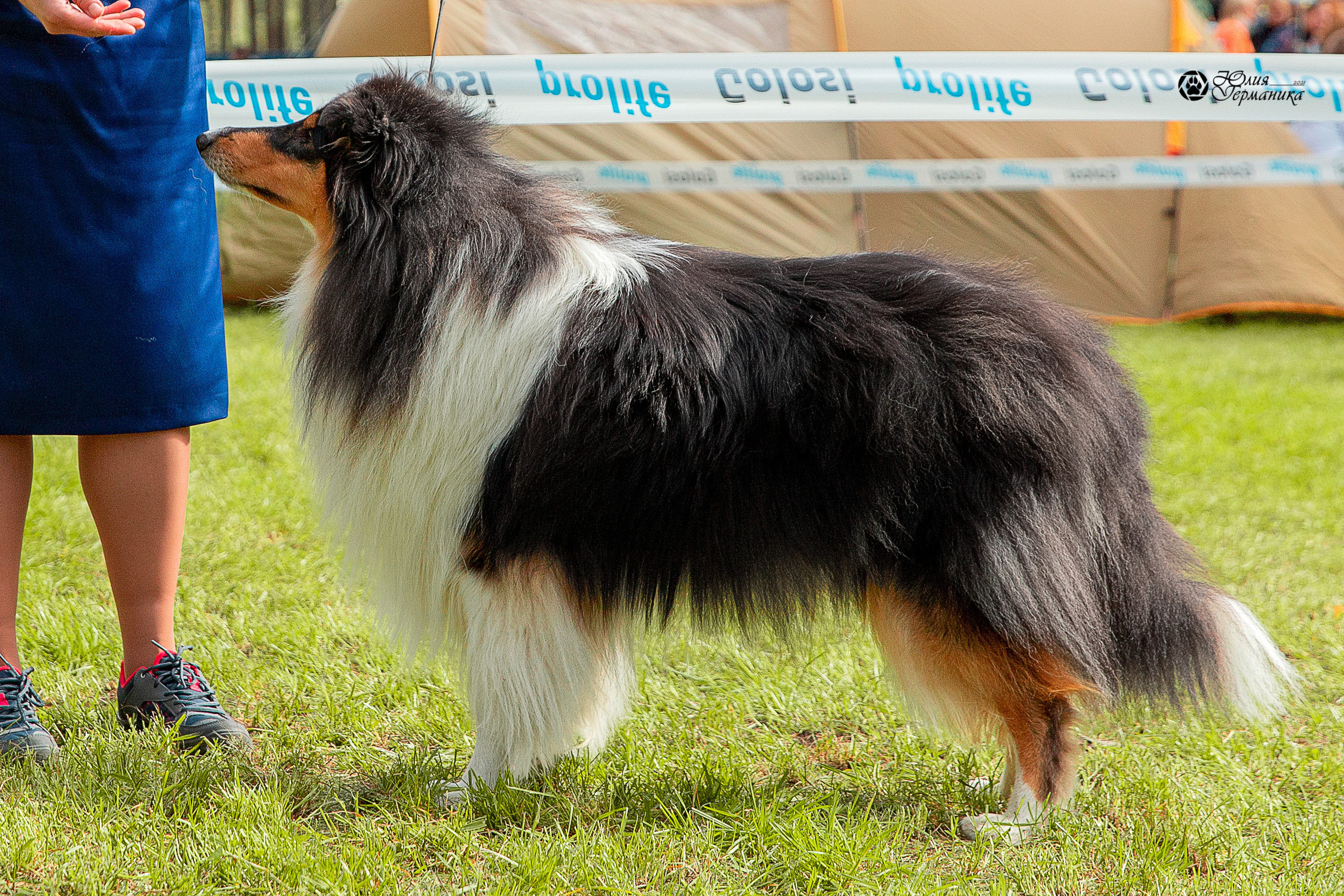 Псков 2xСАСIB 18-19 сентября 2021. Фотограф-анималист Юлия Германика