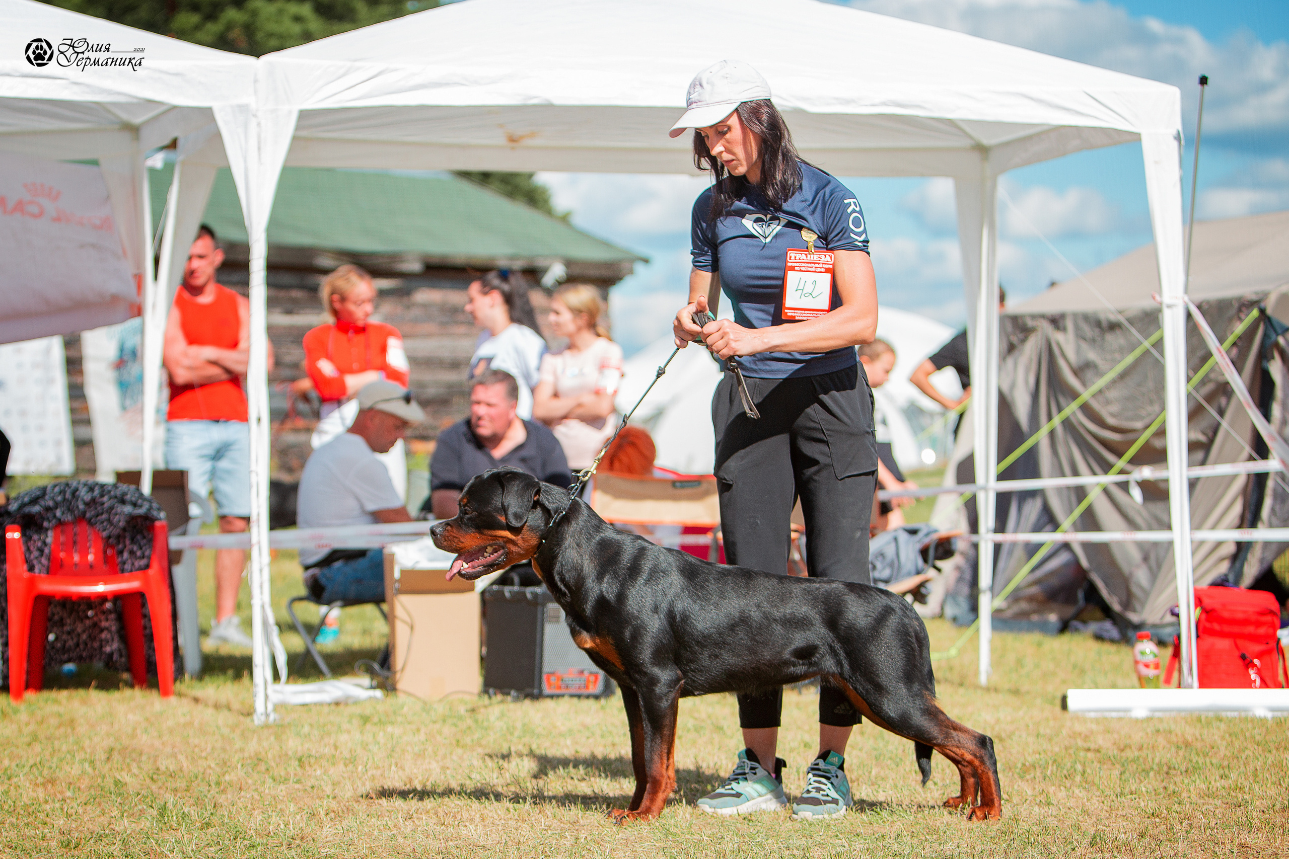 Тверь моно ротвейлеров 3-4 июля 2021. Фотограф-анималист Юлия Германика