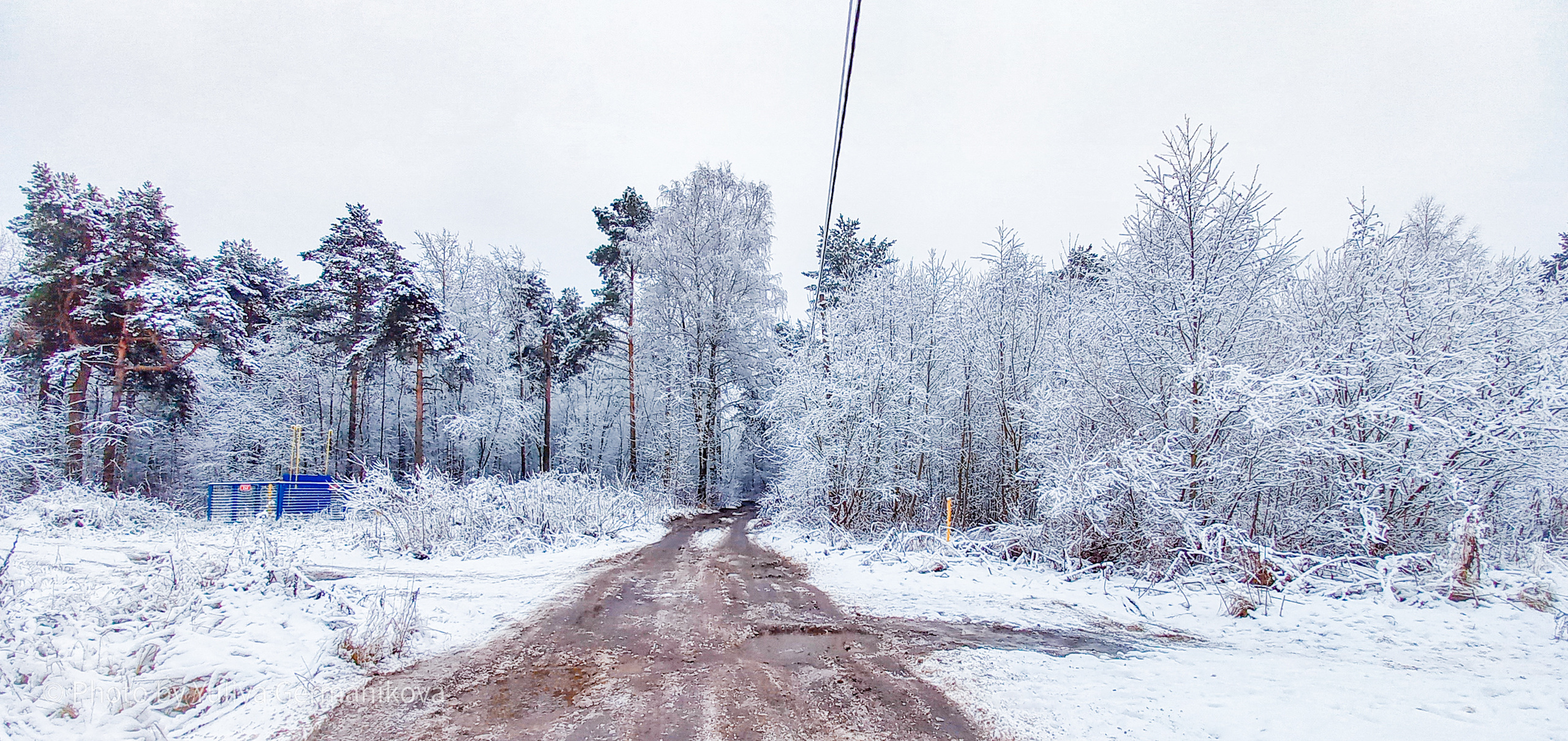 Разные фото на телефон.Города,природа. Фотограф-анималист Юлия Германика