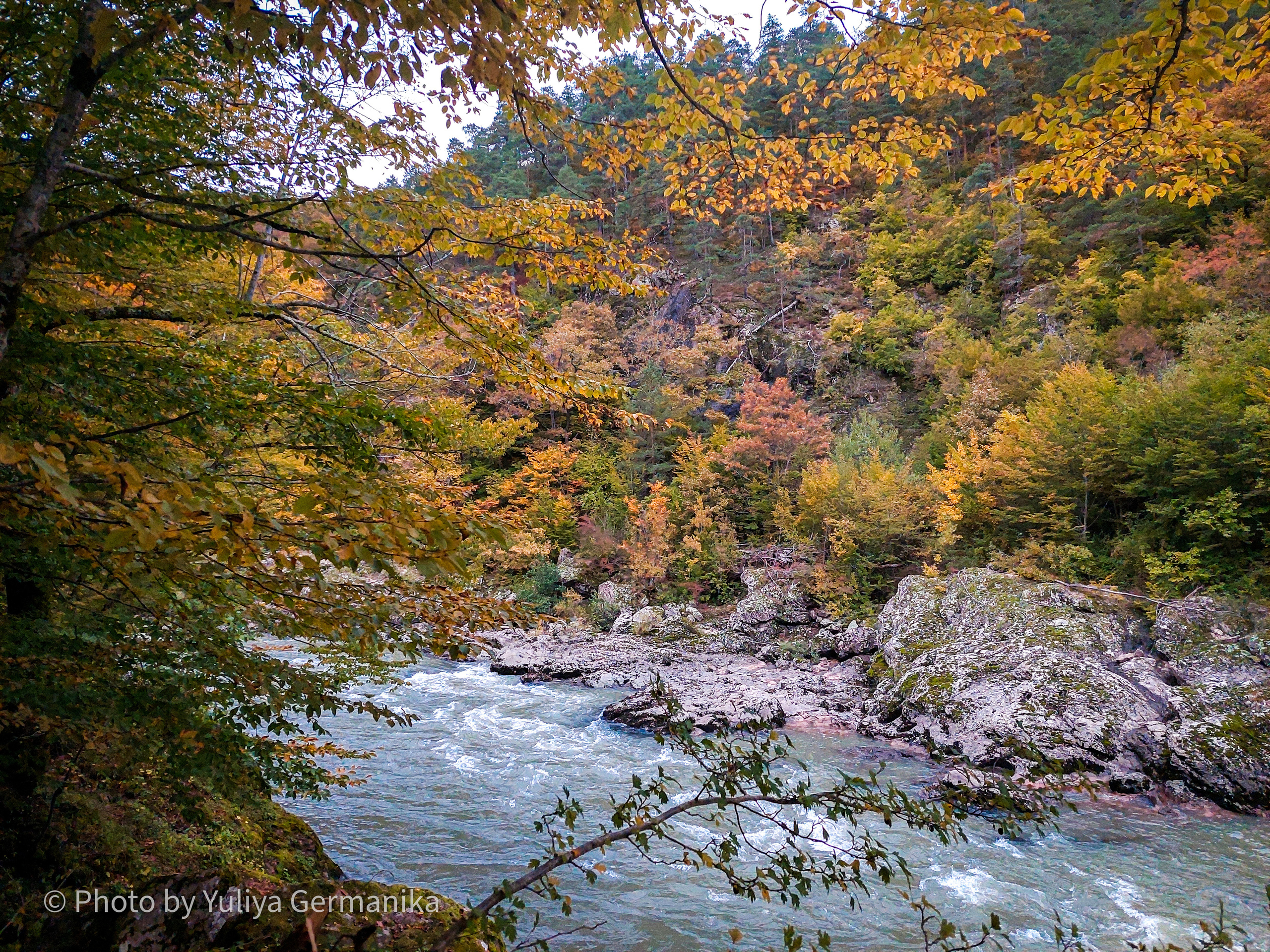Разные фото на телефон.Города,природа. Фотограф-анималист Юлия Германика