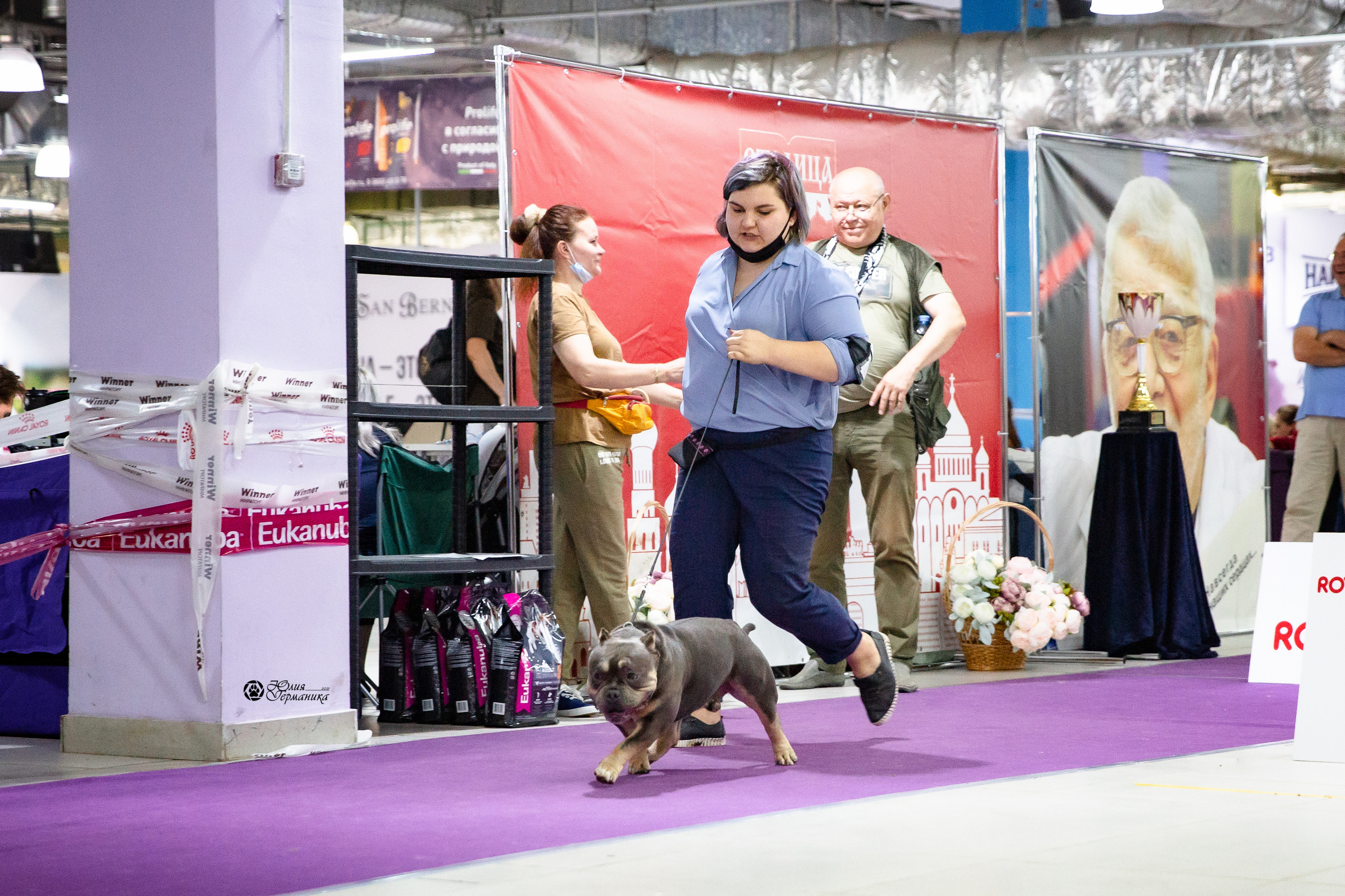 Чайна-Таун 2021. Фотограф-анималист Юлия Германика