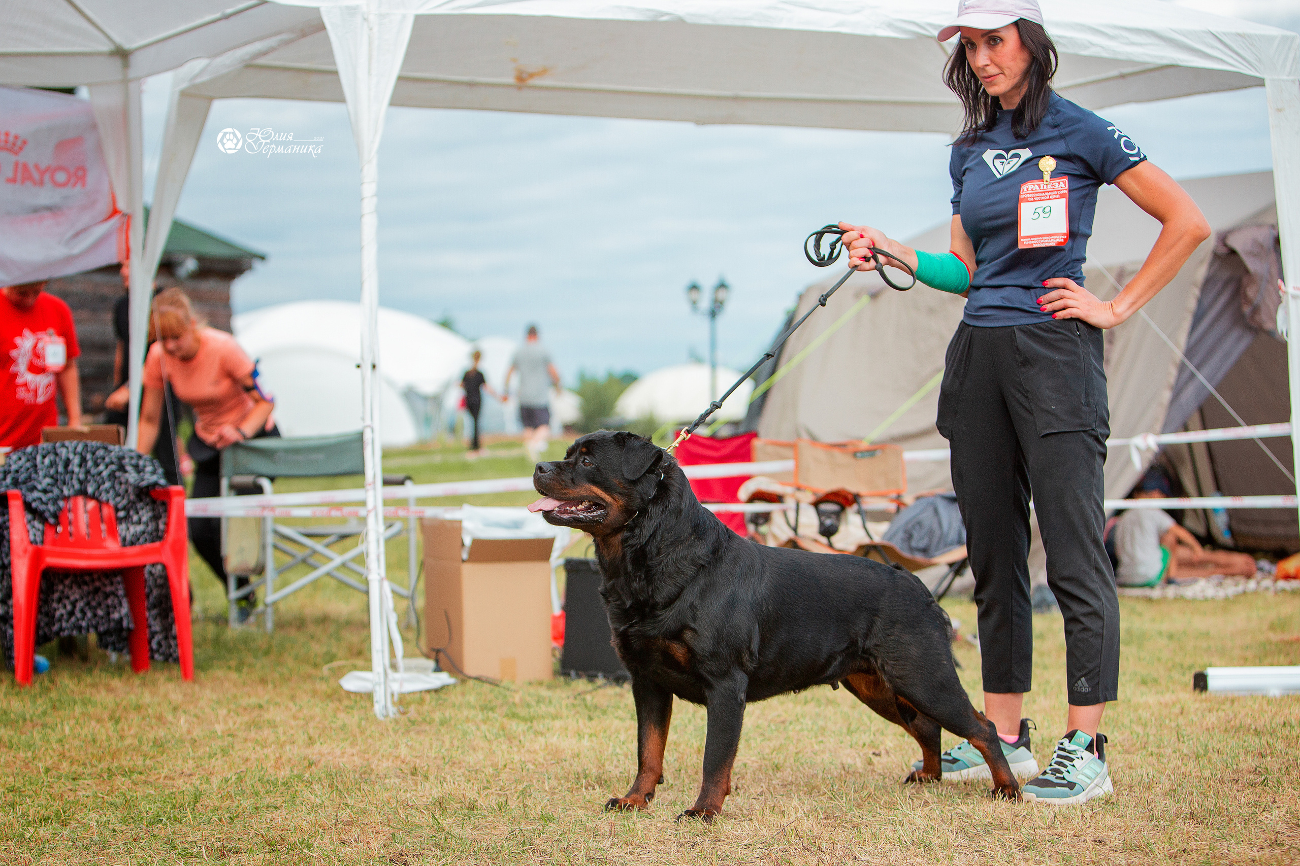 Тверь моно ротвейлеров 3-4 июля 2021. Фотограф-анималист Юлия Германика