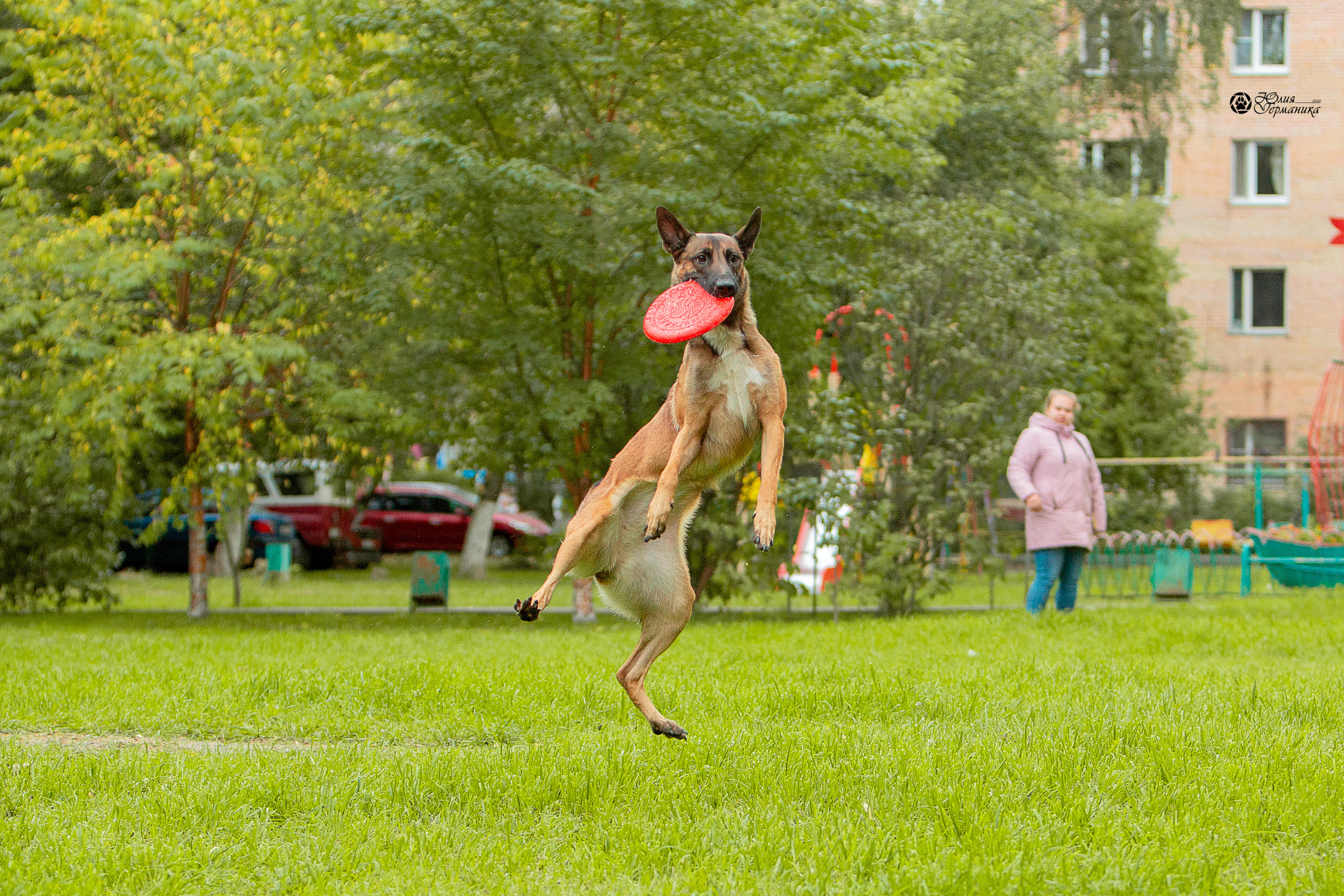 Свободная съемка. Фотограф-анималист Юлия Германика