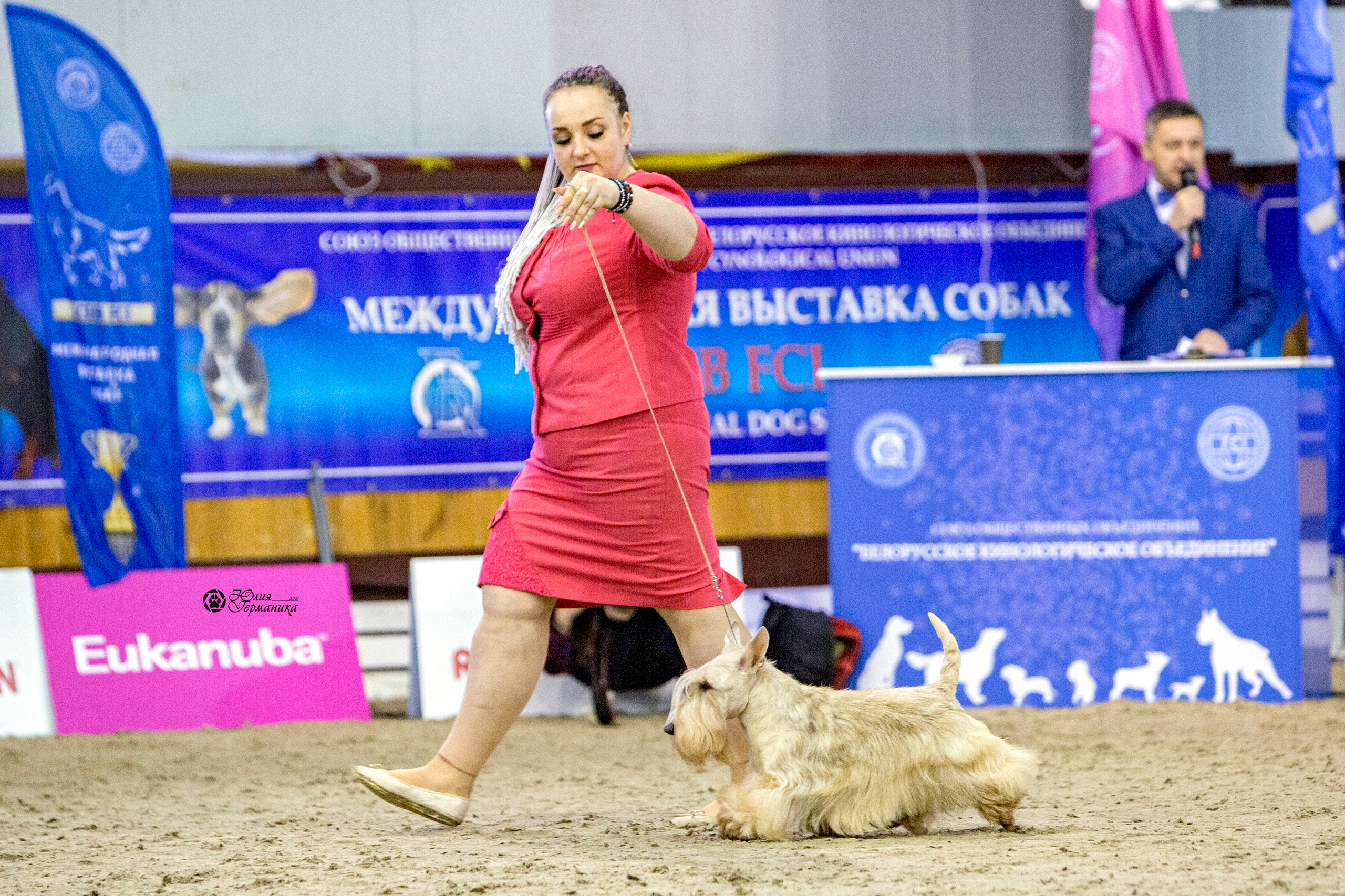 Минск 2хCACIB 27-28 ноября 2021. Фотограф-анималист Юлия Германика