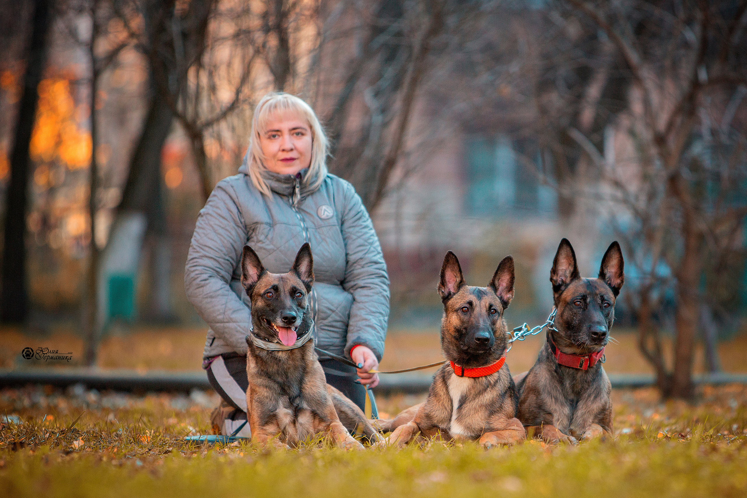 Свободная съемка. Фотограф-анималист Юлия Германика