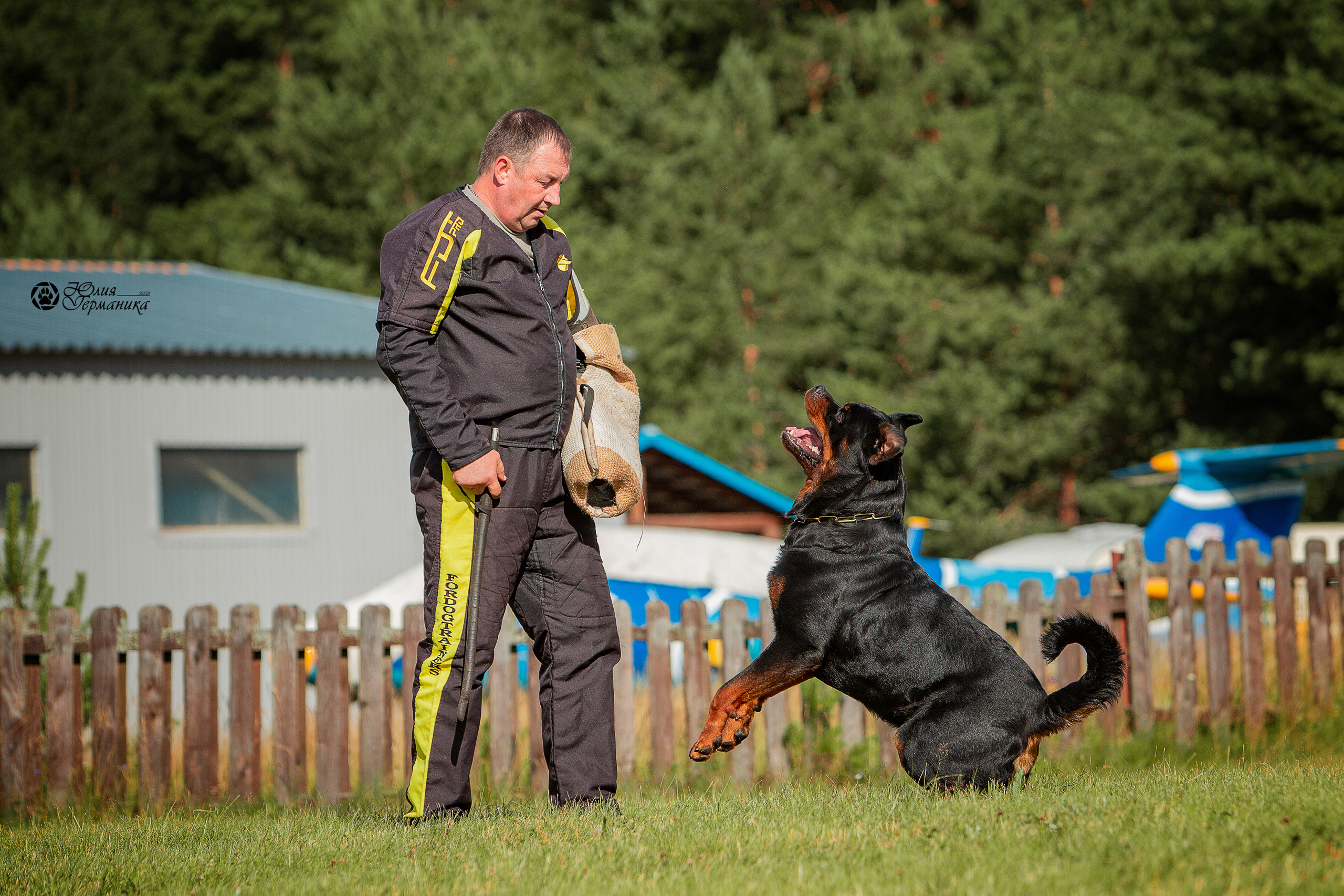 Тверь моно ротвейлеров 3-4 июля 2021. Фотограф-анималист Юлия Германика