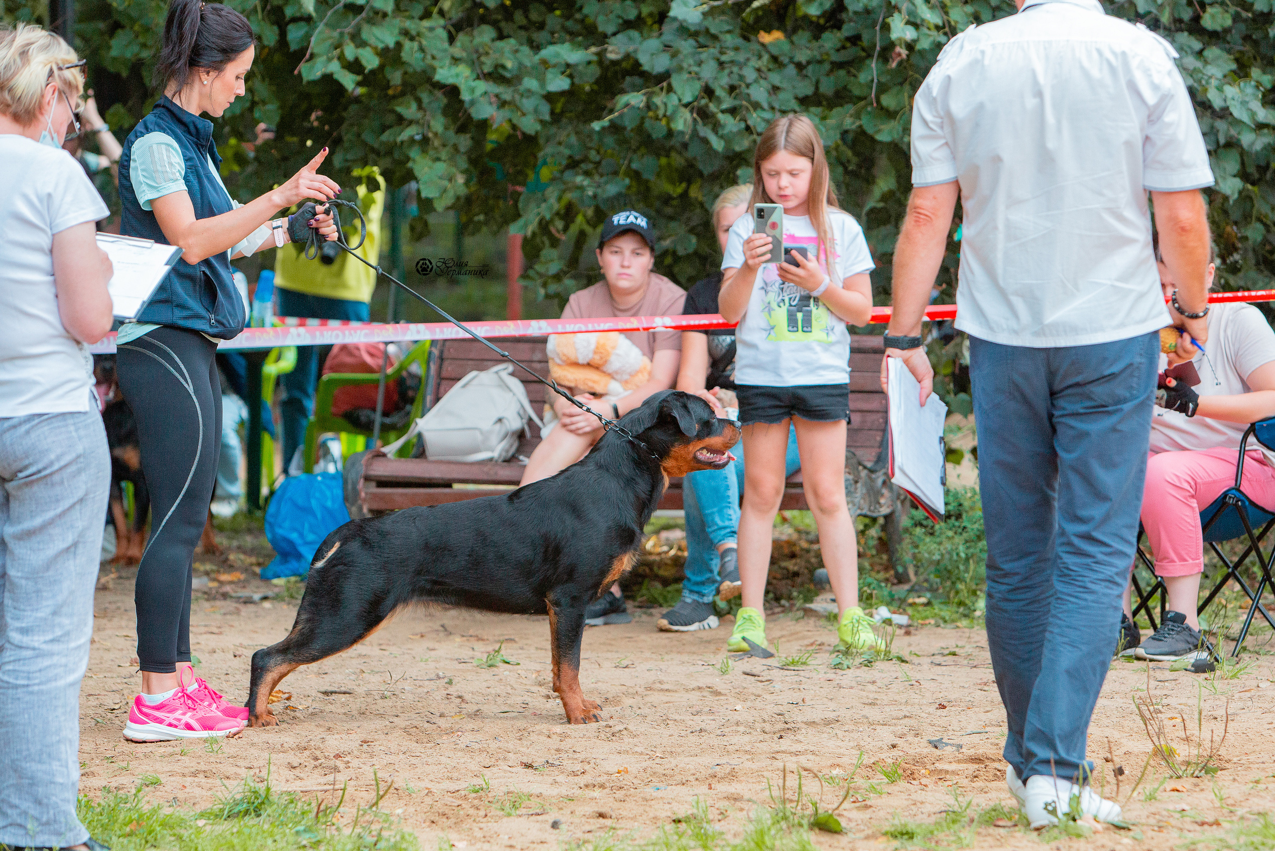 Рязань,Ховрино 14-15 августа 2021 моно ротвейлеров. Фотограф-анималист Юлия Германика
