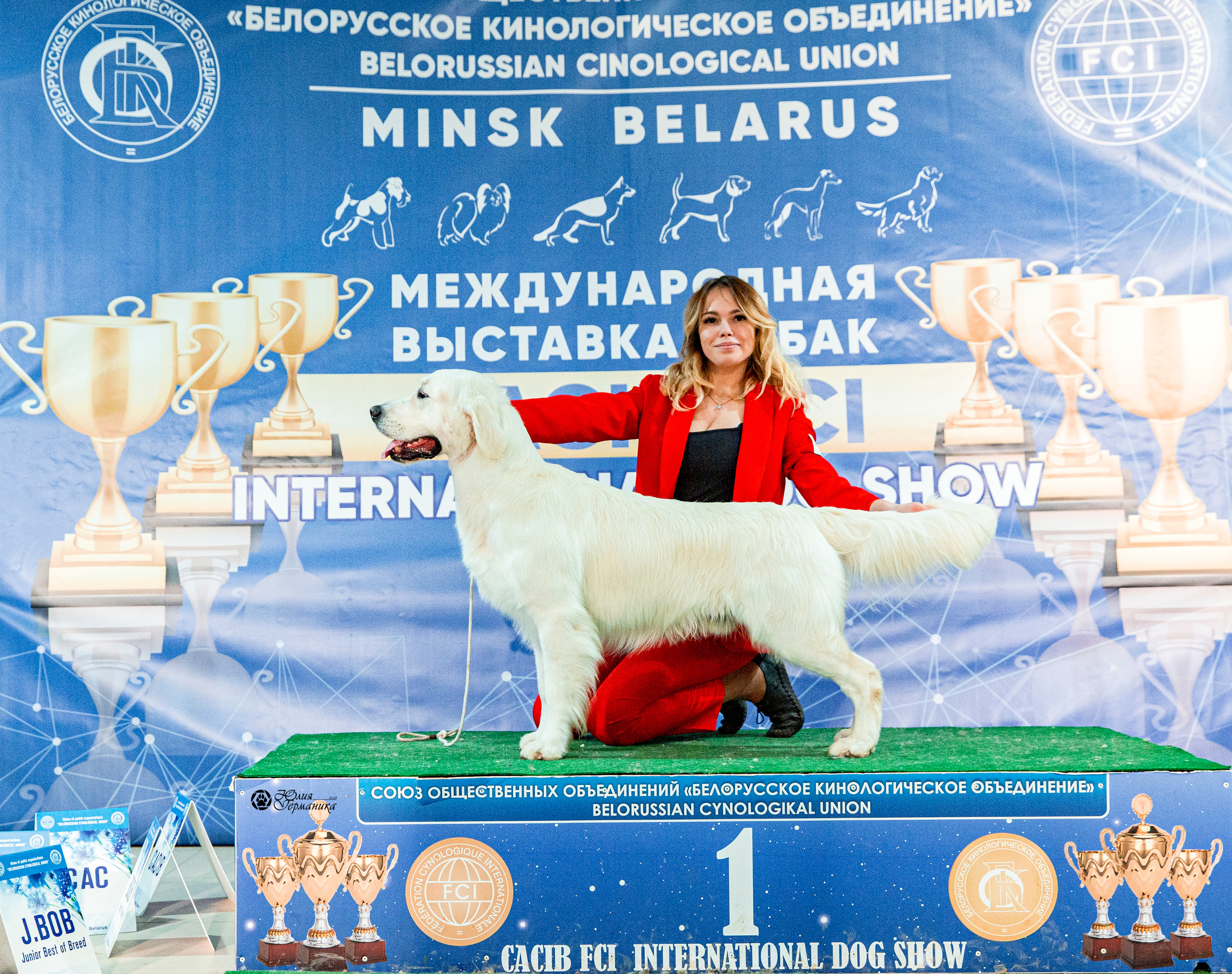 Минск 2хCACIB 27-28 ноября 2021. Фотограф-анималист Юлия Германика