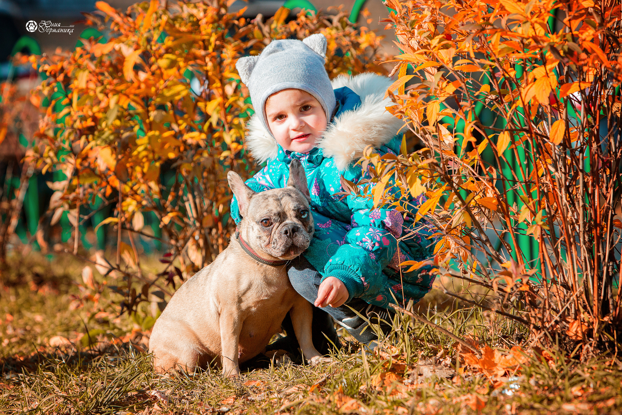 Свободная съемка. Фотограф-анималист Юлия Германика