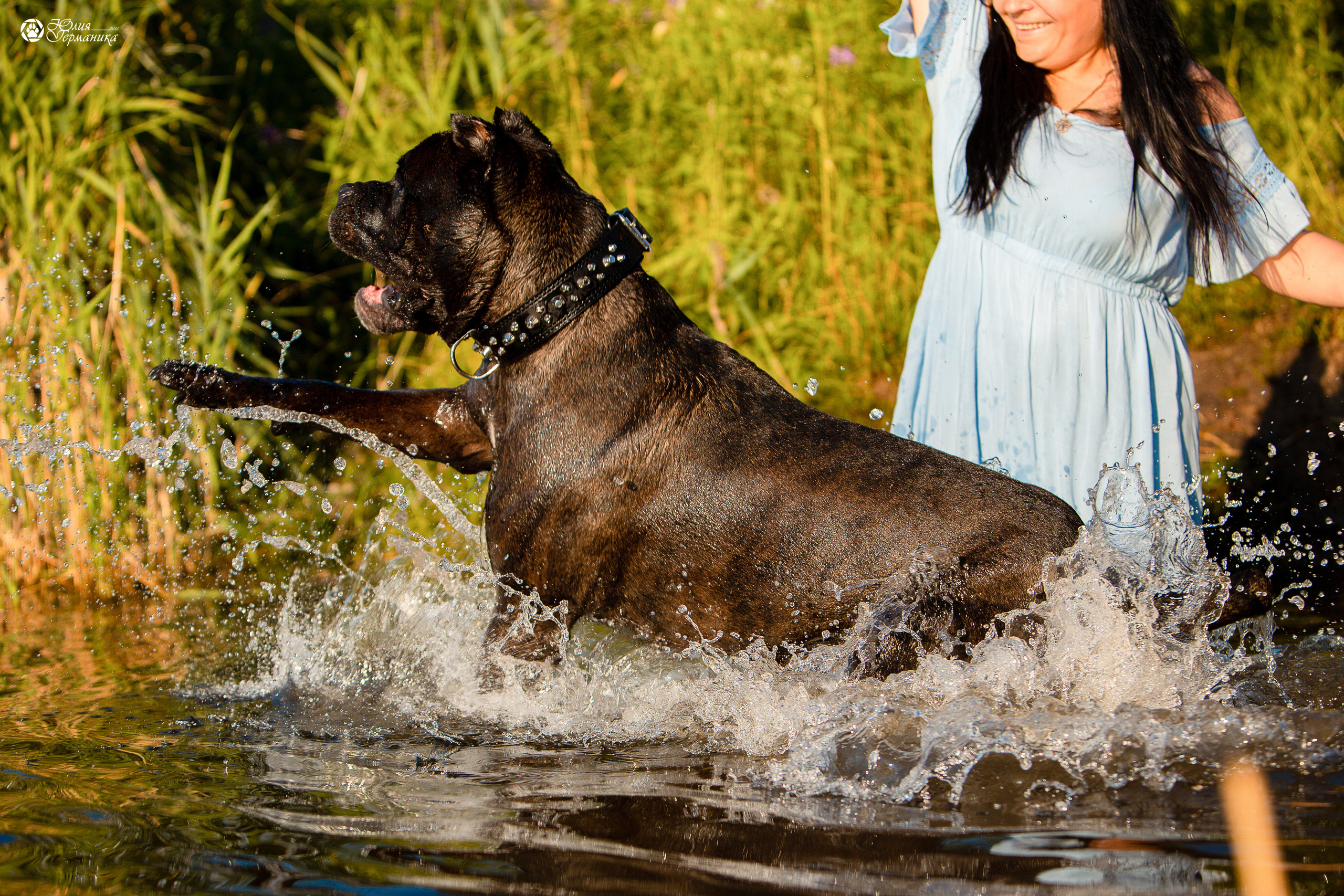 Свободная съемка. Фотограф-анималист Юлия Германика
