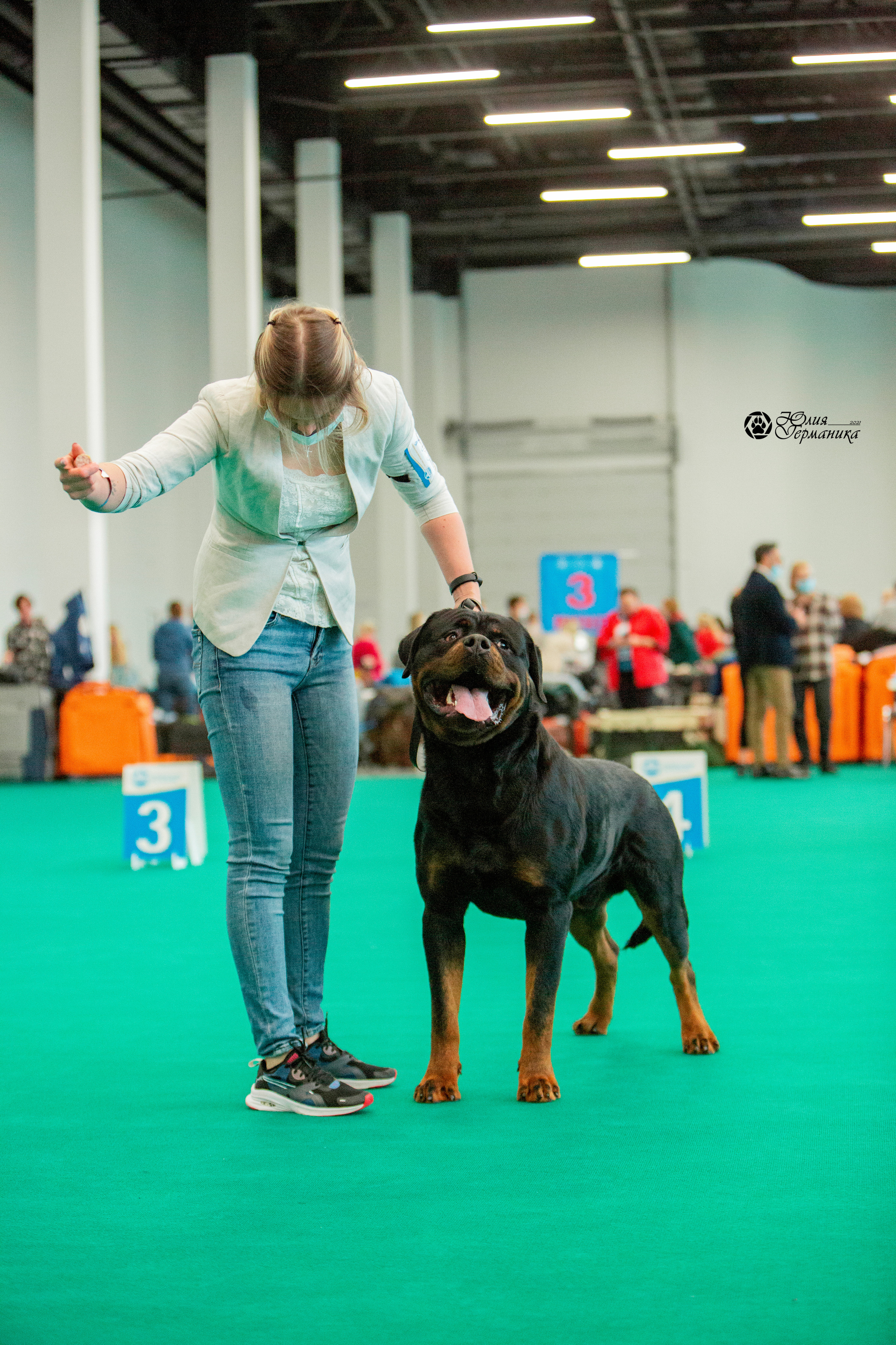 Нижний Новгород 3хCACIB 15-17 октября 2021. Фотограф-анималист Юлия Германика