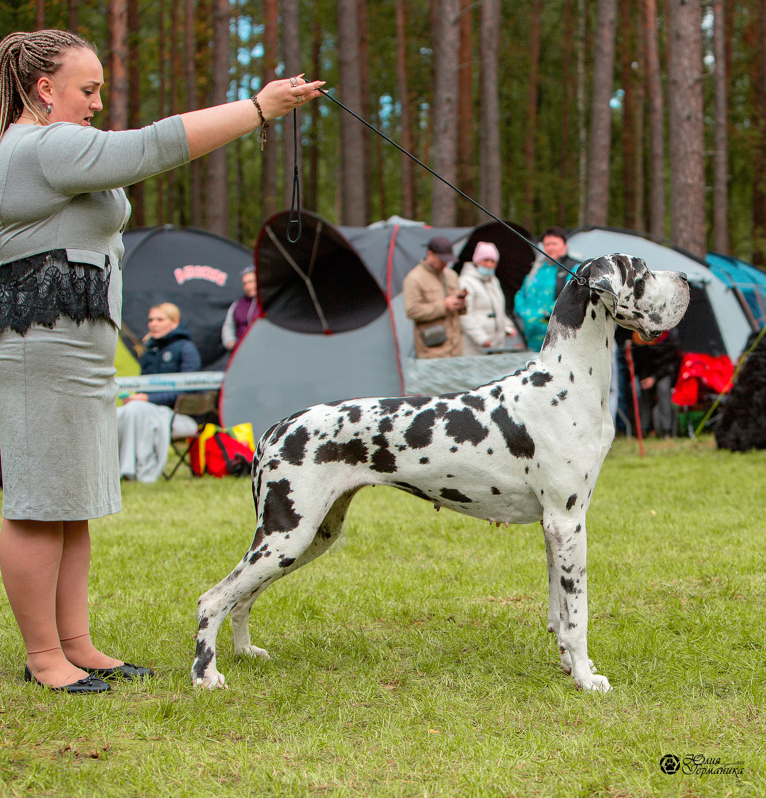 Псков 2xСАСIB 18-19 сентября 2021. Фотограф-анималист Юлия Германика