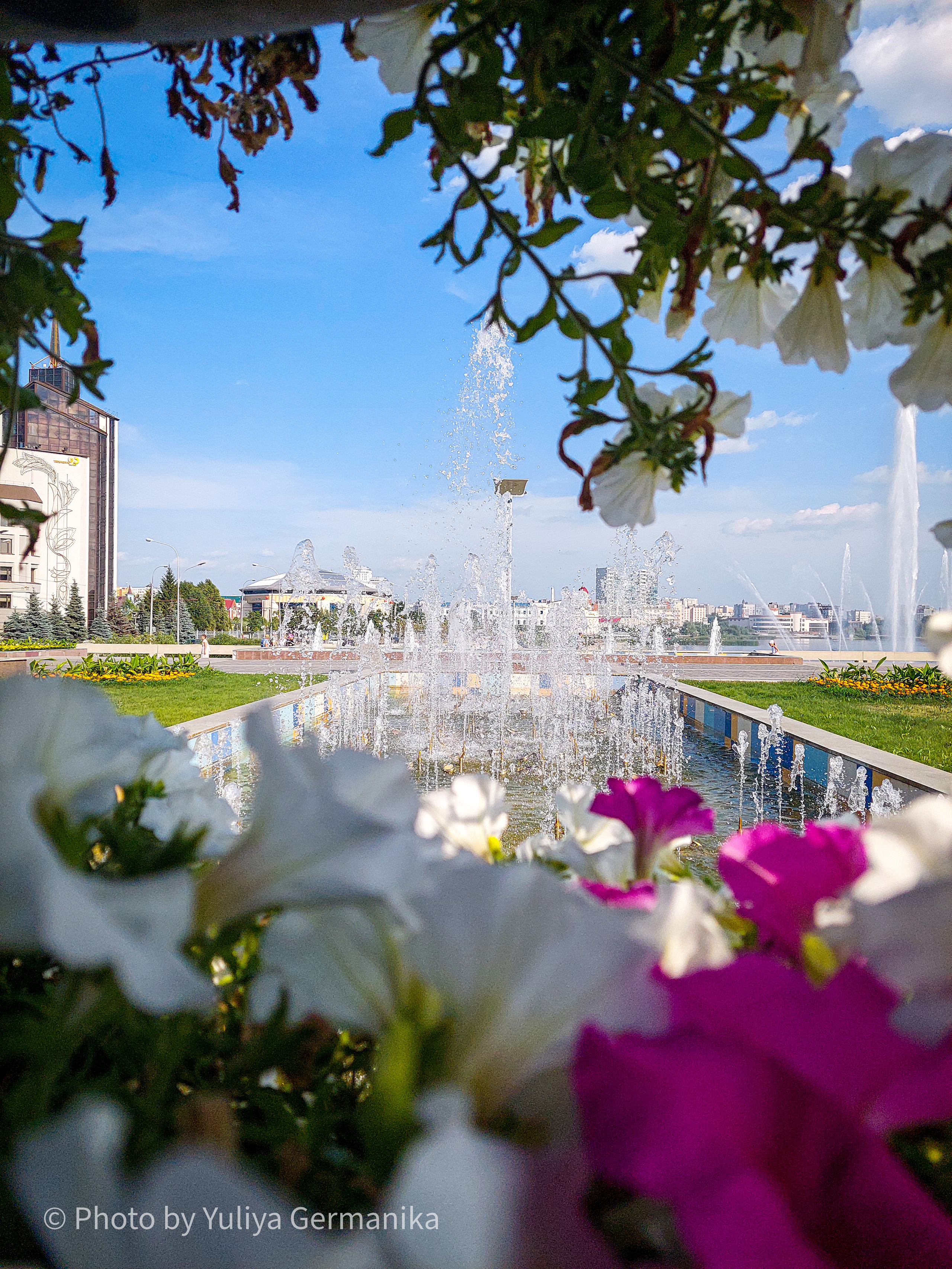 Разные фото на телефон.Города,природа. Фотограф-анималист Юлия Германика