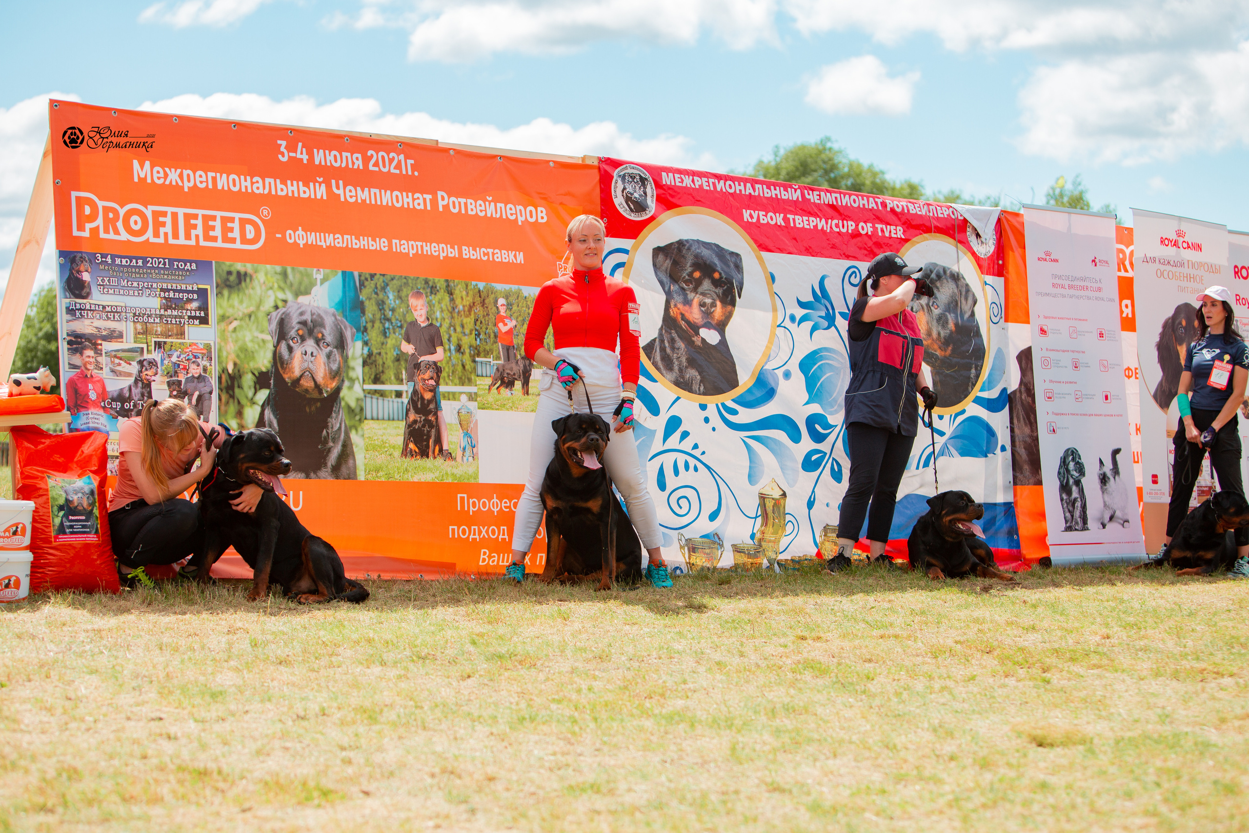 Тверь моно ротвейлеров 3-4 июля 2021. Фотограф-анималист Юлия Германика
