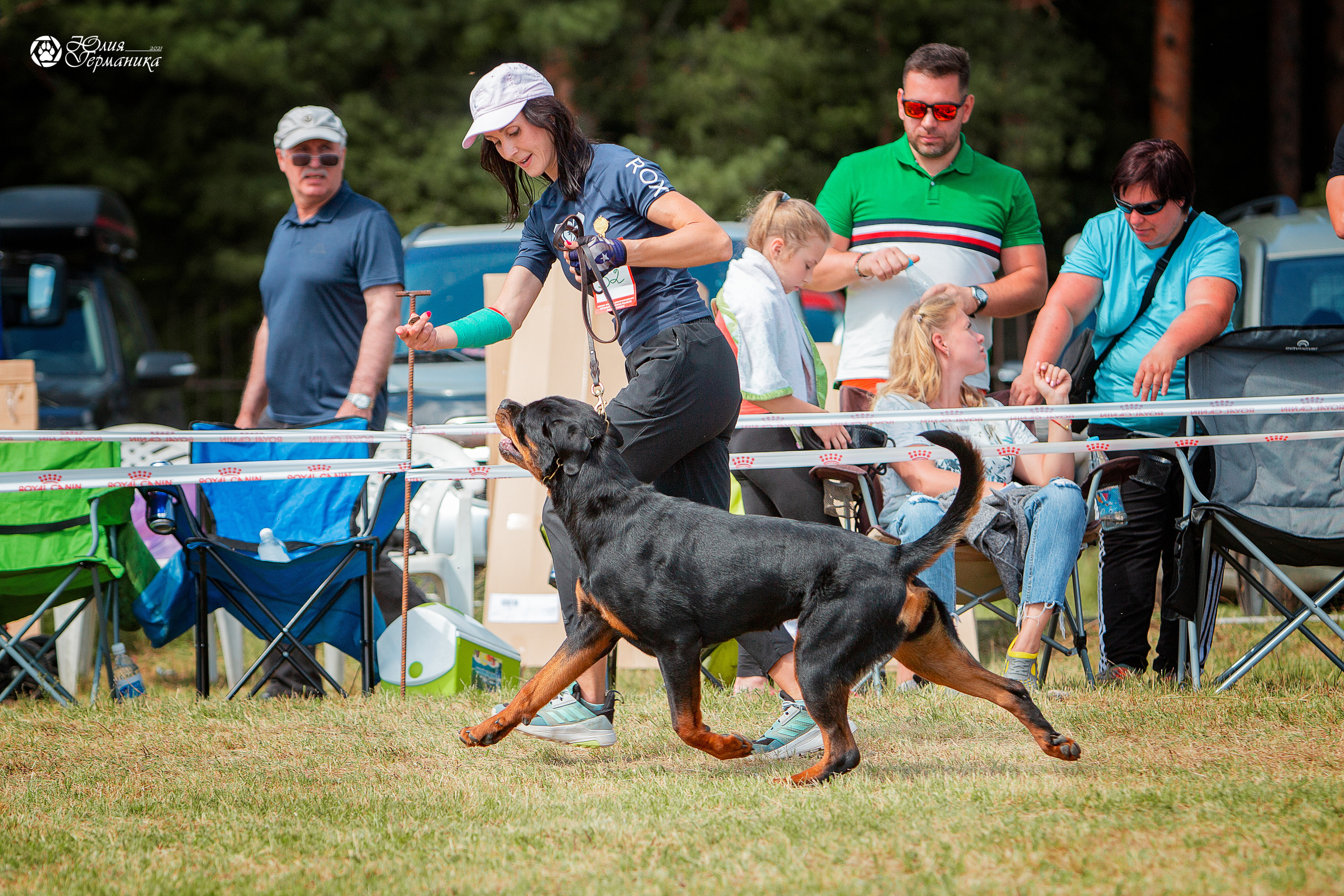 Тверь моно ротвейлеров 3-4 июля 2021. Фотограф-анималист Юлия Германика