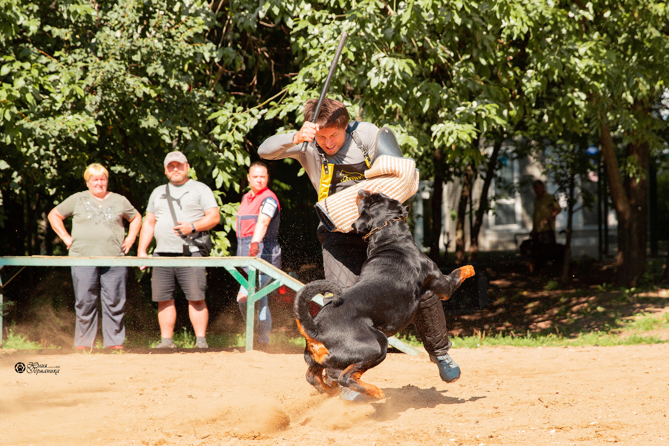 Рязань,Ховрино 14-15 августа 2021 моно ротвейлеров. Фотограф-анималист Юлия Германика