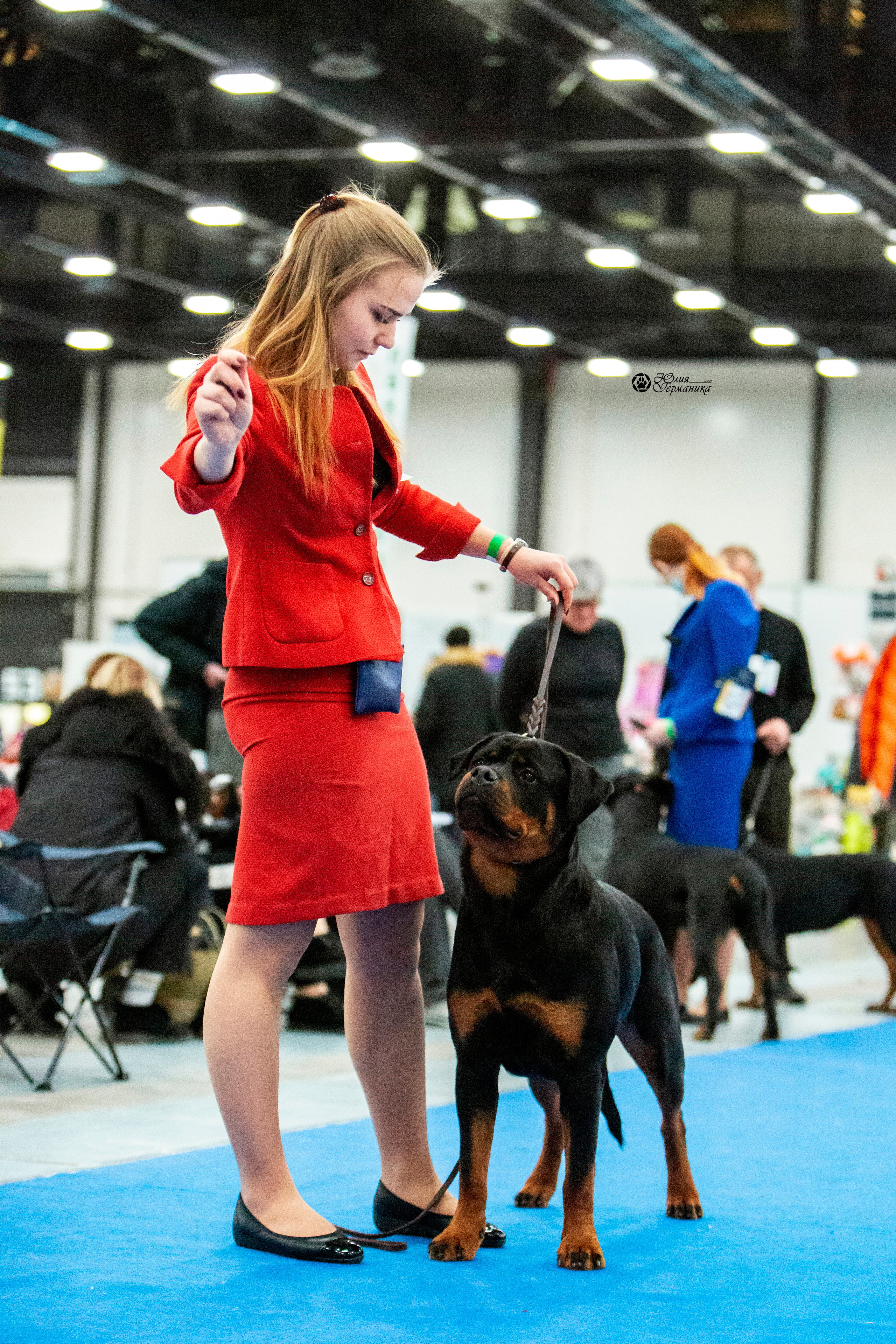 Санкт-Петербург 3хCACIB 10-12 декабря 2021. Фотограф-анималист Юлия Германика