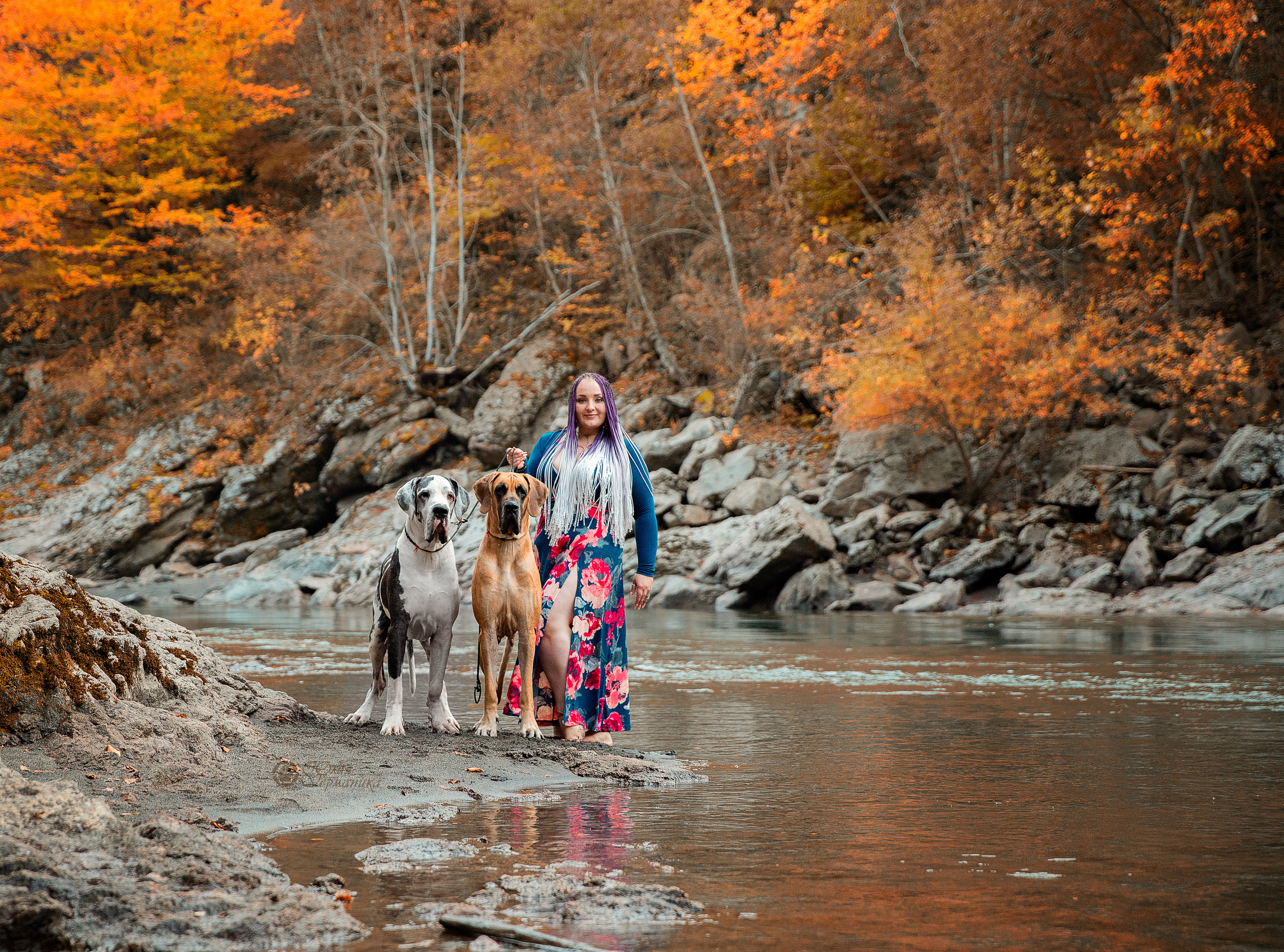 Свободная съемка. Фотограф-анималист Юлия Германика