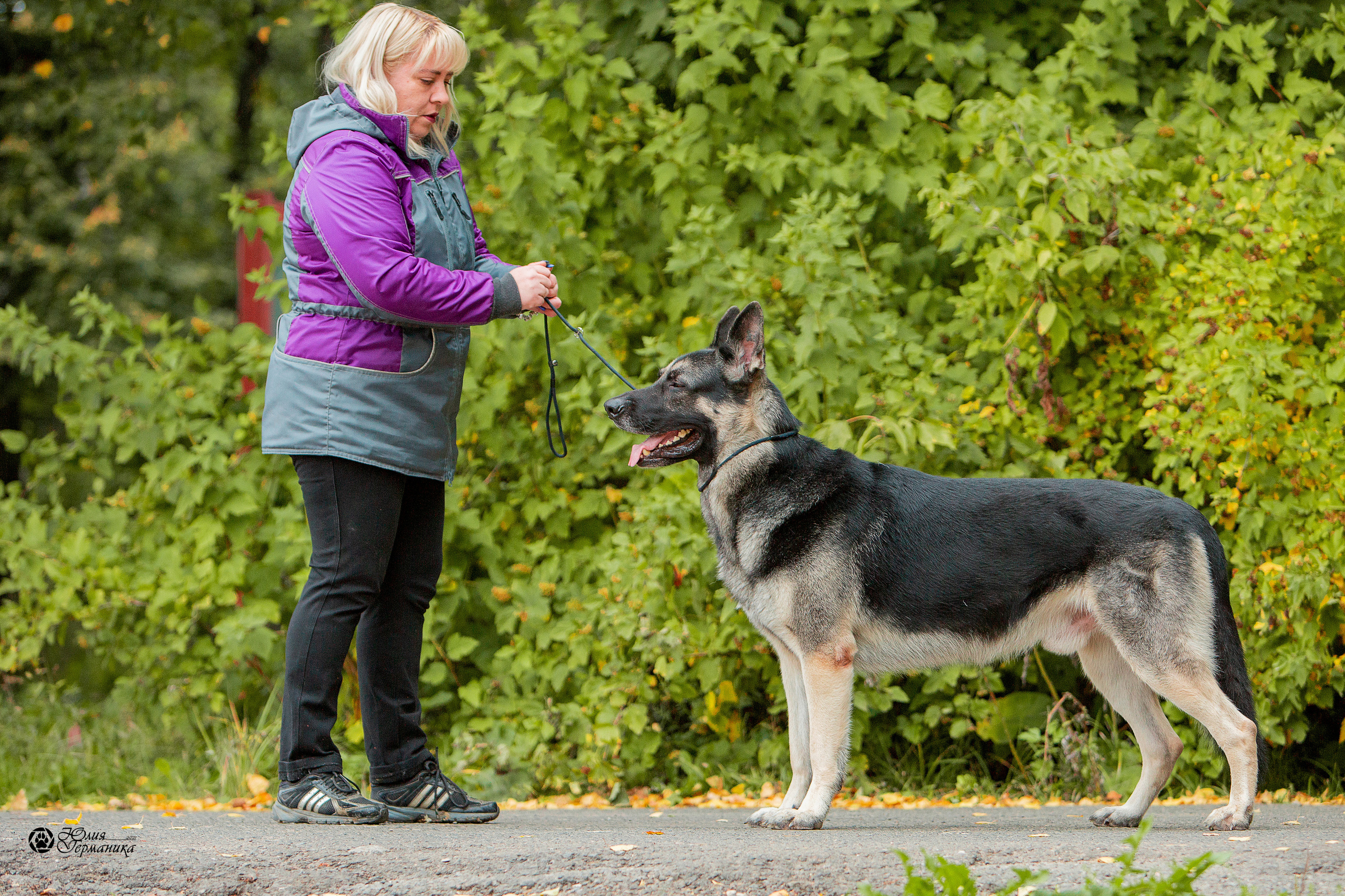 Свободная съемка. Фотограф-анималист Юлия Германика