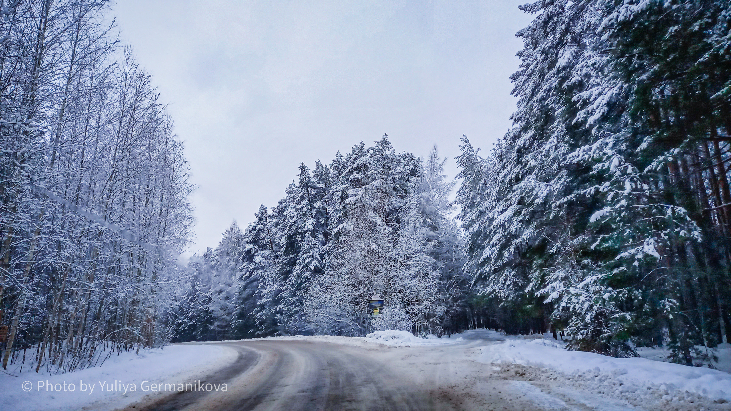 Разные фото на телефон.Города,природа. Фотограф-анималист Юлия Германика