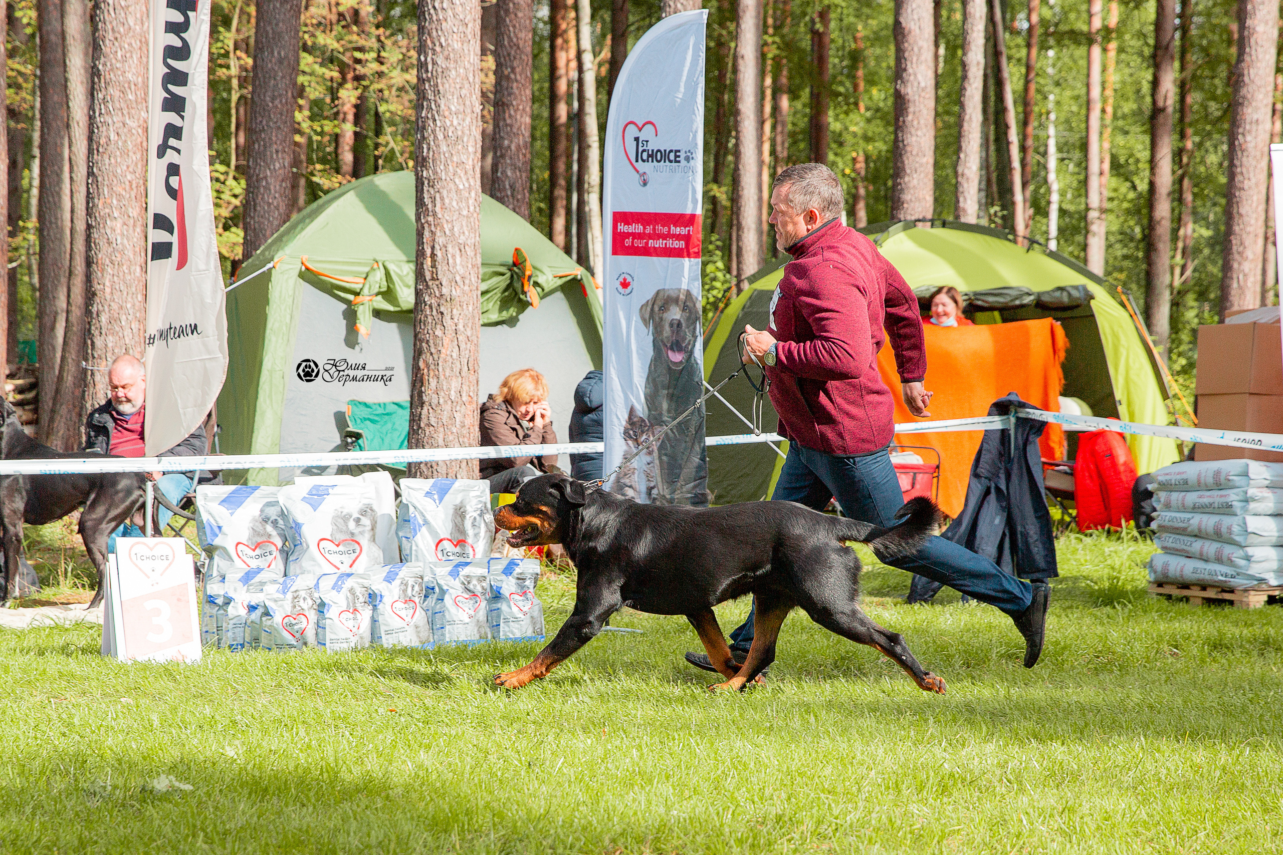 Псков 2xСАСIB 18-19 сентября 2021. Фотограф-анималист Юлия Германика