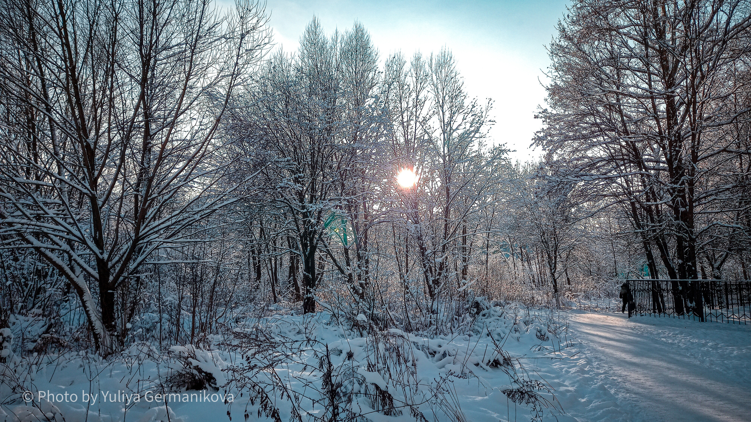 Разные фото на телефон.Города,природа. Фотограф-анималист Юлия Германика