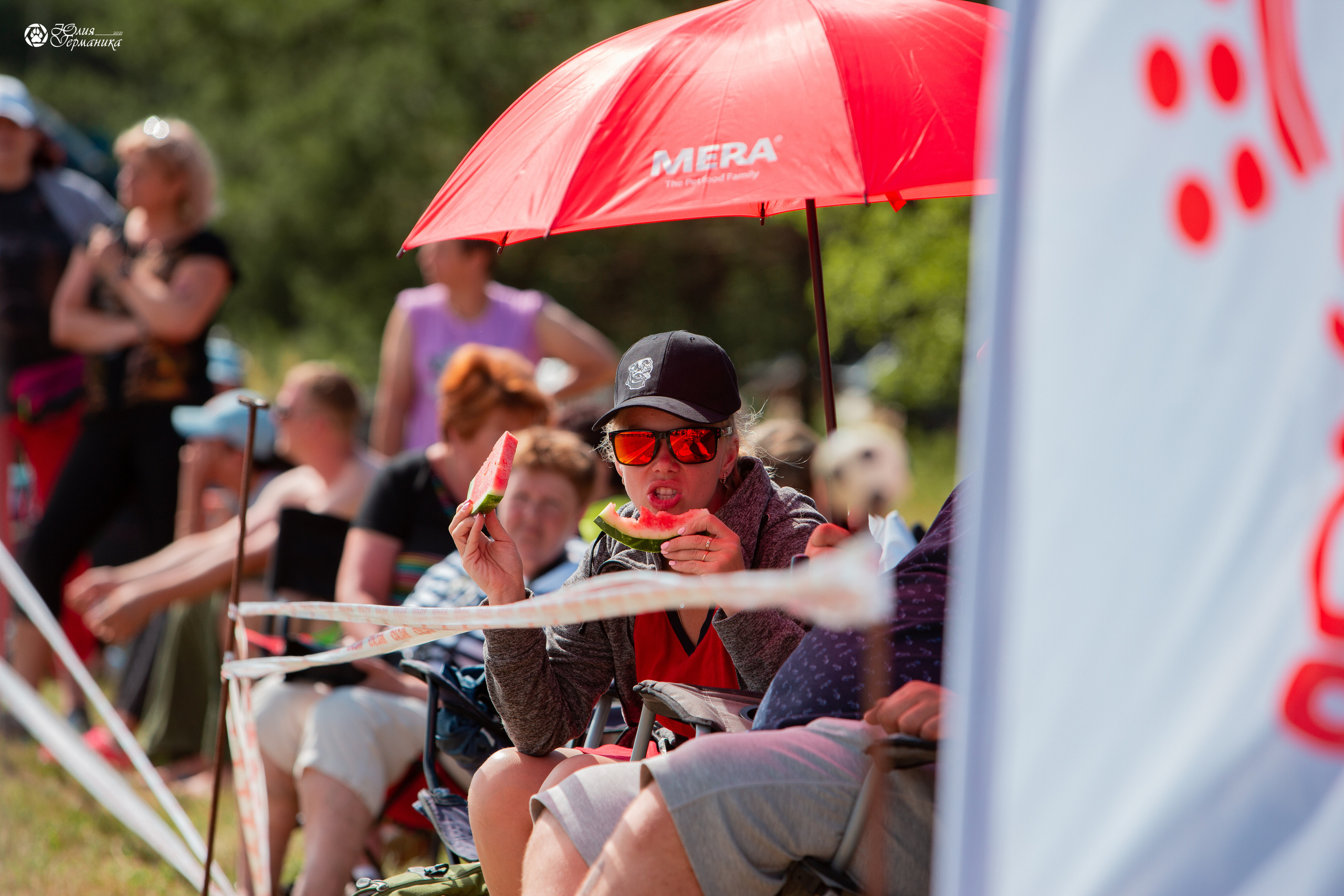 Тверь моно ротвейлеров 3-4 июля 2021. Фотограф-анималист Юлия Германика